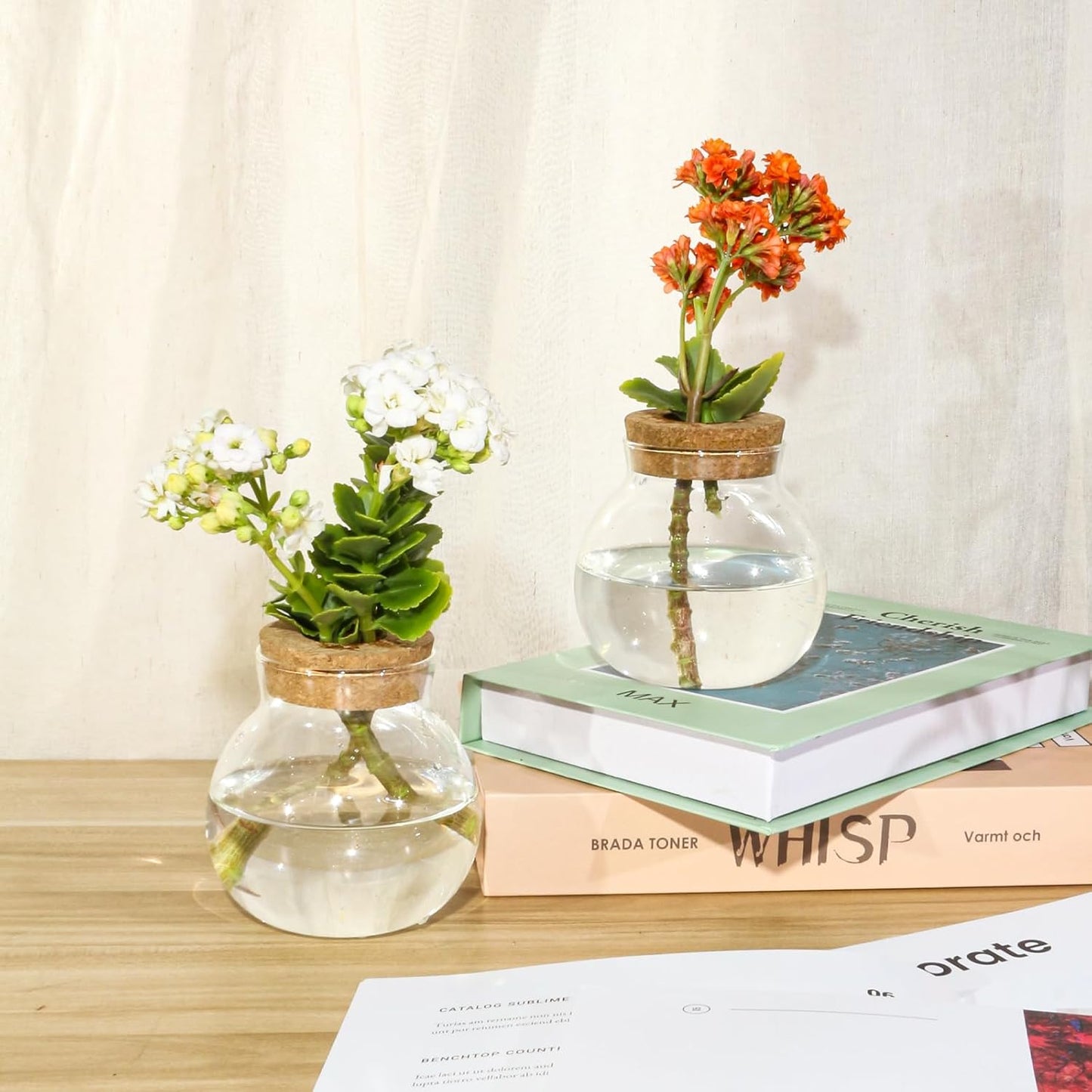 Plant Propagation Station,Hydroponic Terrarium Vase,Desktop Glass Planter Station,for Houses,Garden Decorations,ropagating Hydroponic Plants,Centerpiece Office,Home Garden Decor (6)