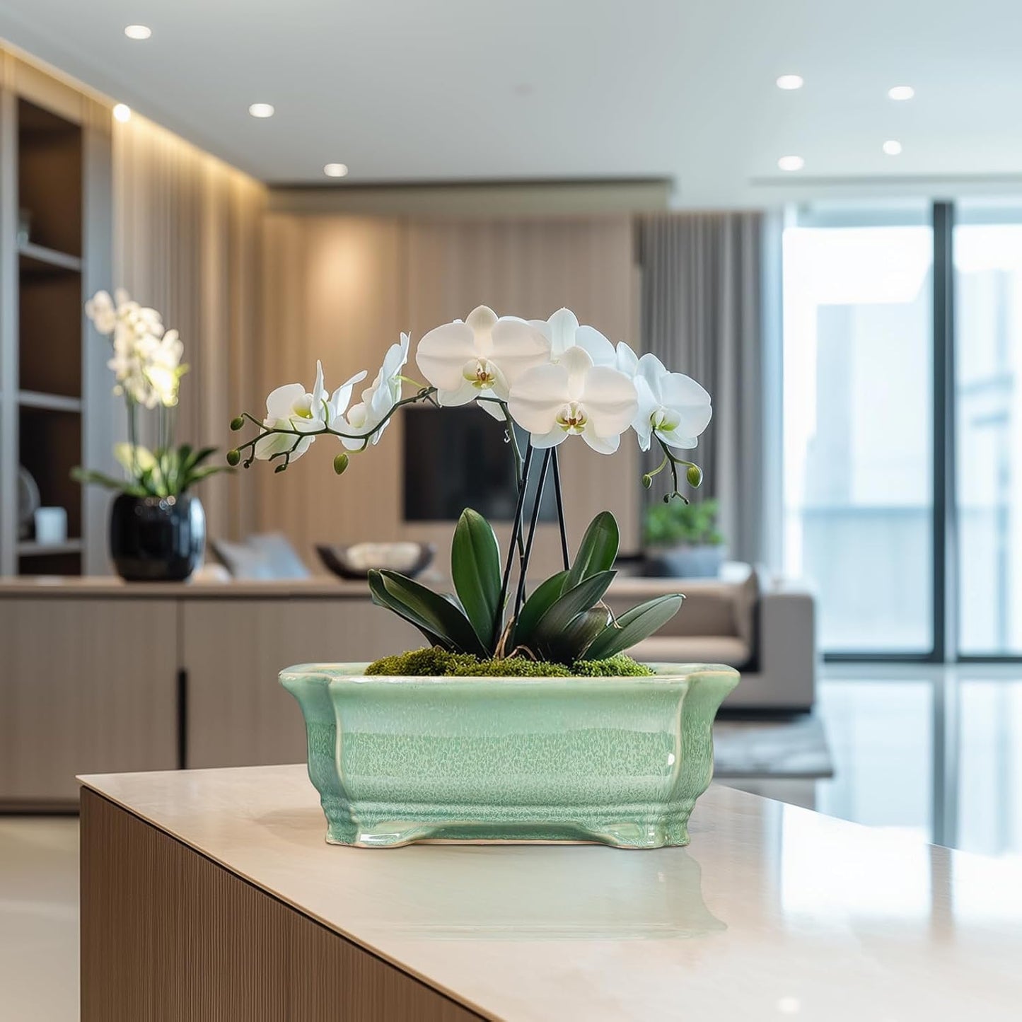 Bonsai Tree Pot 11.6 Inch - Ceramic Succulent Pots, Bonsai Planter for Indoor Outdoor, Decorative Plant Pot with Drainage Hole, Rectangular Flower Pot, Home Garden Decor, Garden Gifts, Green