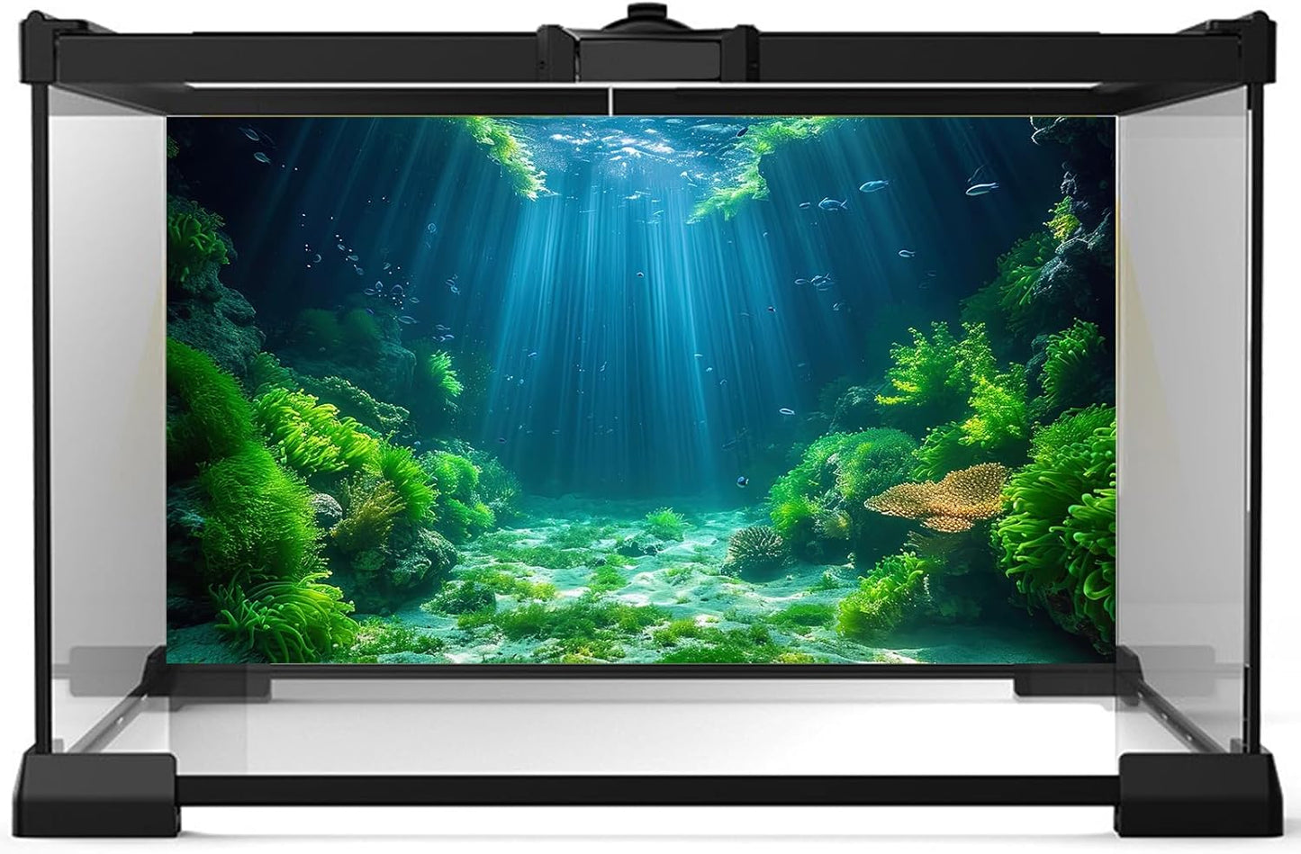 Aquarium Background Aquatic Plants Soft Algae Terrarium Backdrop Underwater World Fish Rock with Moss Sunlight Rays Fish Tank Background Aquarium Wallpaper Poster Decor Vinyl 36x20in
