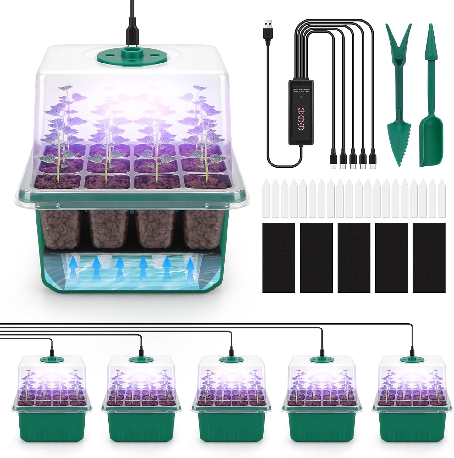 BlumWay Self-Watering Seed Starter Tray Kit with Grow Light and Humidity Dome,3 Color Growing Light,5-Pack 60-Cell Plant Seedling Tray,Reusable Plastic Germination Trays,Timed Light Plant Starter Set