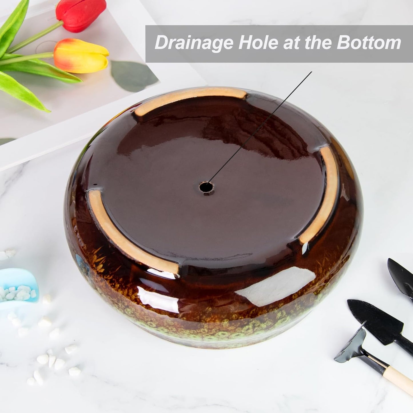 ARTKETTY Succulent Pots - 8 Inch Plant Pot, Large Bonsai Pots with Drainage, Ceramic Planters for Indoor Outdoor Plants, Round Shallow Cactus Flower Plant Container Bowl Decorative Home Garden