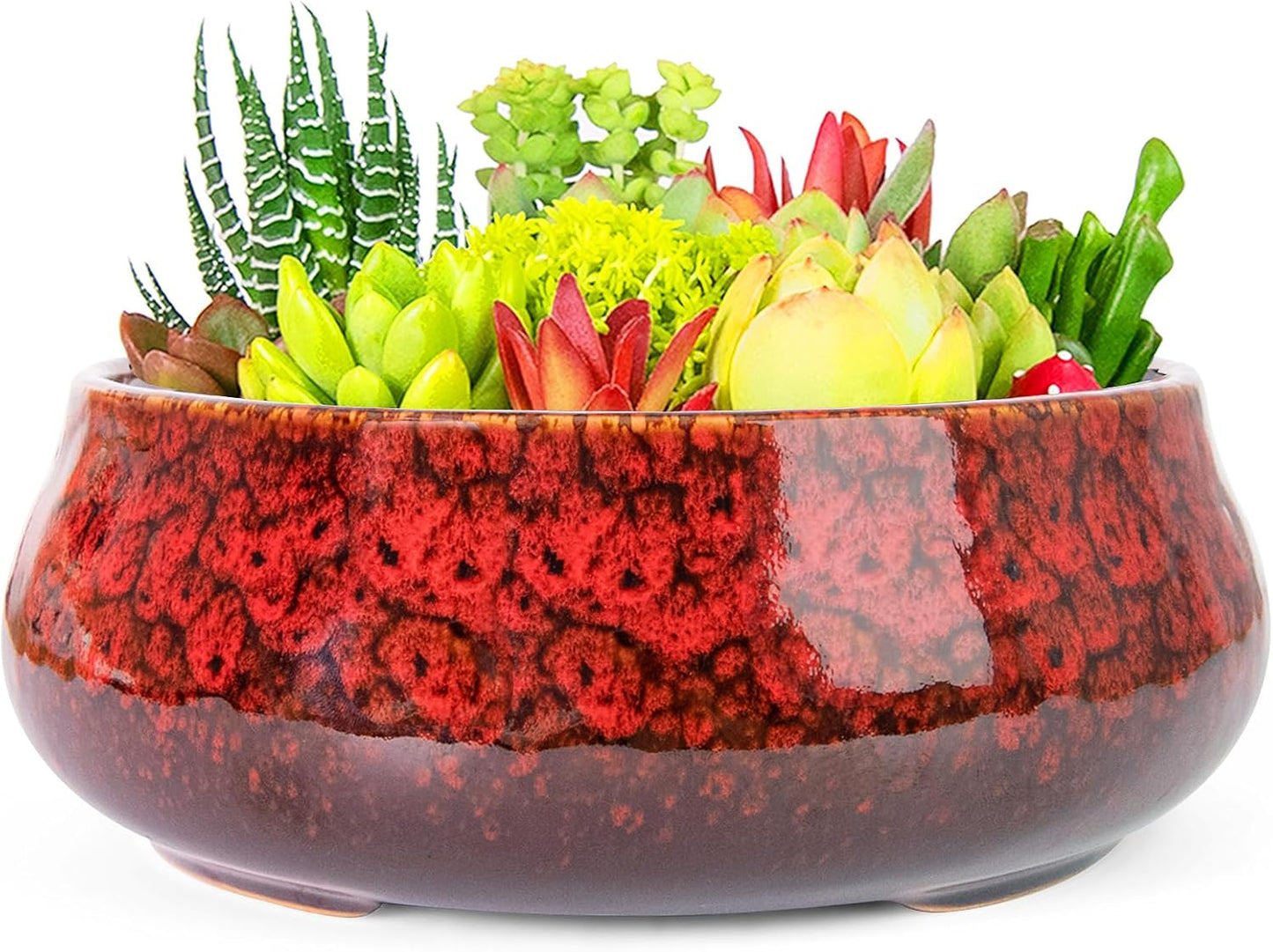 ARTKETTY Succulent Pots - 8 Inch Plant Pot, Large Bonsai Pots with Drainage, Ceramic Planters for Indoor Outdoor Plants, Round Shallow Cactus Flower Plant Container Bowl Decorative Home Garden