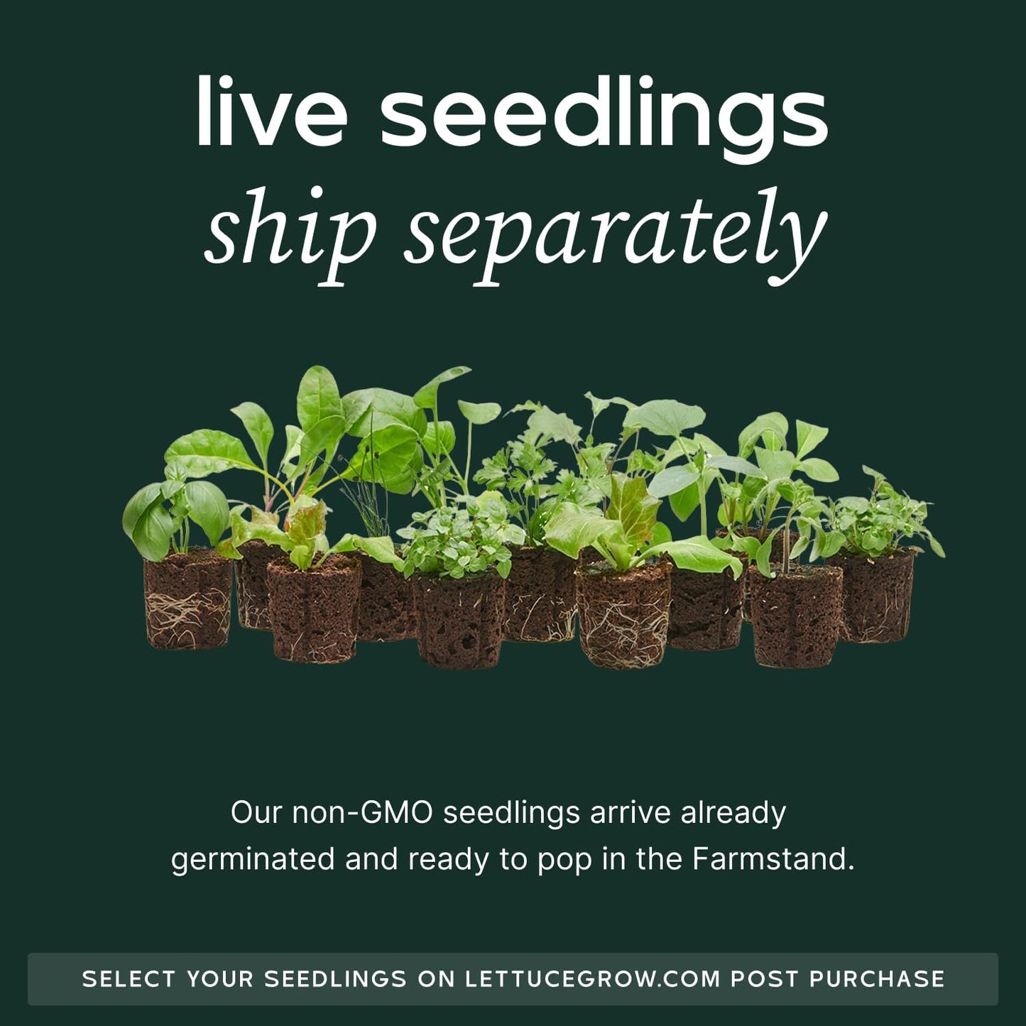 Farmstand Starter Kit + 24 Seedling Credit | Medium Hydroponic Growing System Kit | Self-Watering Outdoor Vertical Garden Planter Tower | 4ft 10in | Made in USA