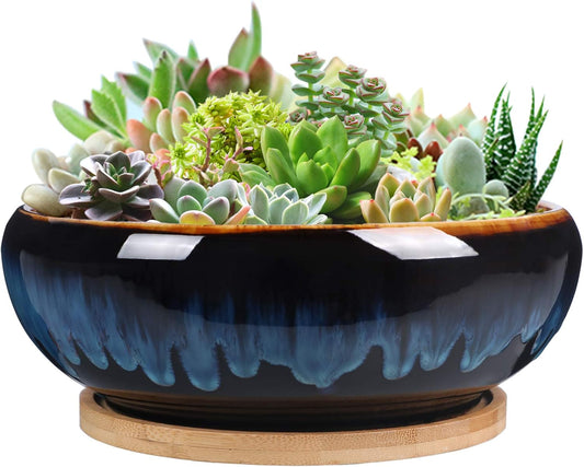 SQOWL 7 Inch Round Ceramic Succulent Planter Pot Drip Glazed Shallow Planter with Drainage Bamboo Tray for Indoor Plants