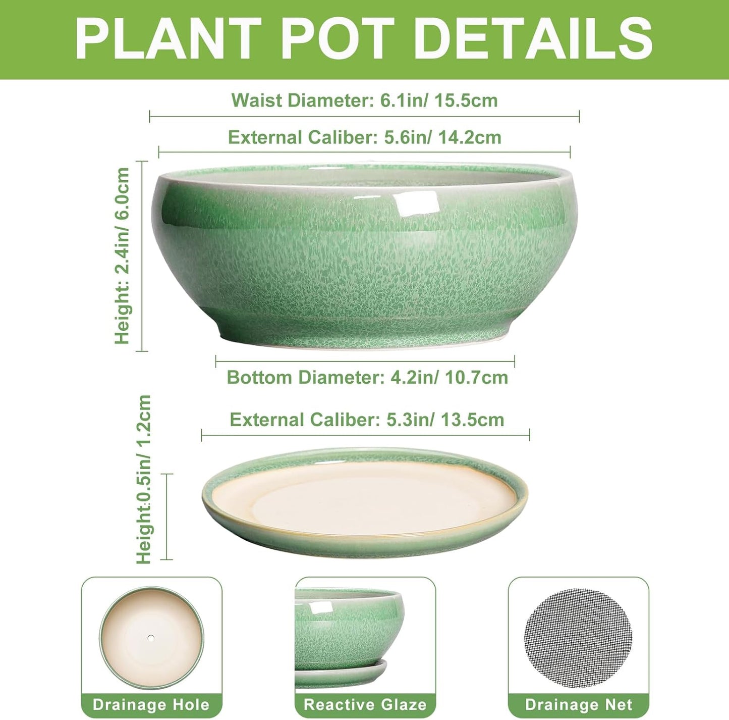 SQOWL Succulent Pots 6 Inch - Ceramic Bonsai Planter for Indoor Plants Outdoor, Shallow Planter with Drainage Hole and Tray, Round Planters for Cactus Flower, Office Decor, Gardening Gifts, Green