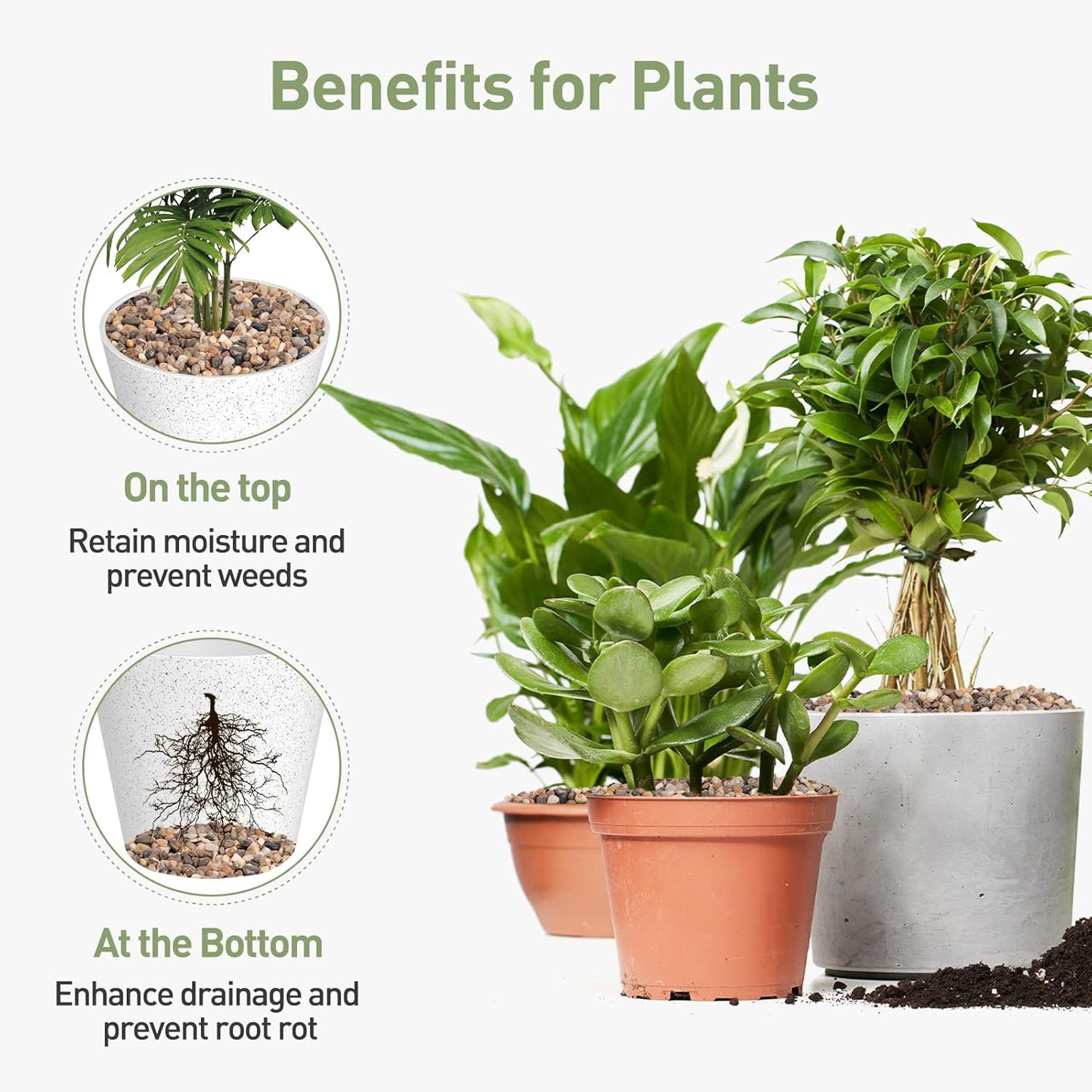 GASPRO Drainage Pebbles for Indoor Plants, 1/5 Inch Small Rocks for Potted Plants, Decorative Pebbles for Succulent, Cactus, Crafts, Bamboo, Pea Gravel for Landscaping, Aquarium, Fish Tank, 5lbs