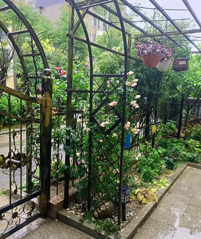 Heavy Duty Steel Garden Arbor & Trellis Arch for Grape Vines Climbing Plants Pergola Outdoor Theme Decoration Archway 180cm 260cm 340cm 140cm (Color : Black, Size : 71" W x 91" H)