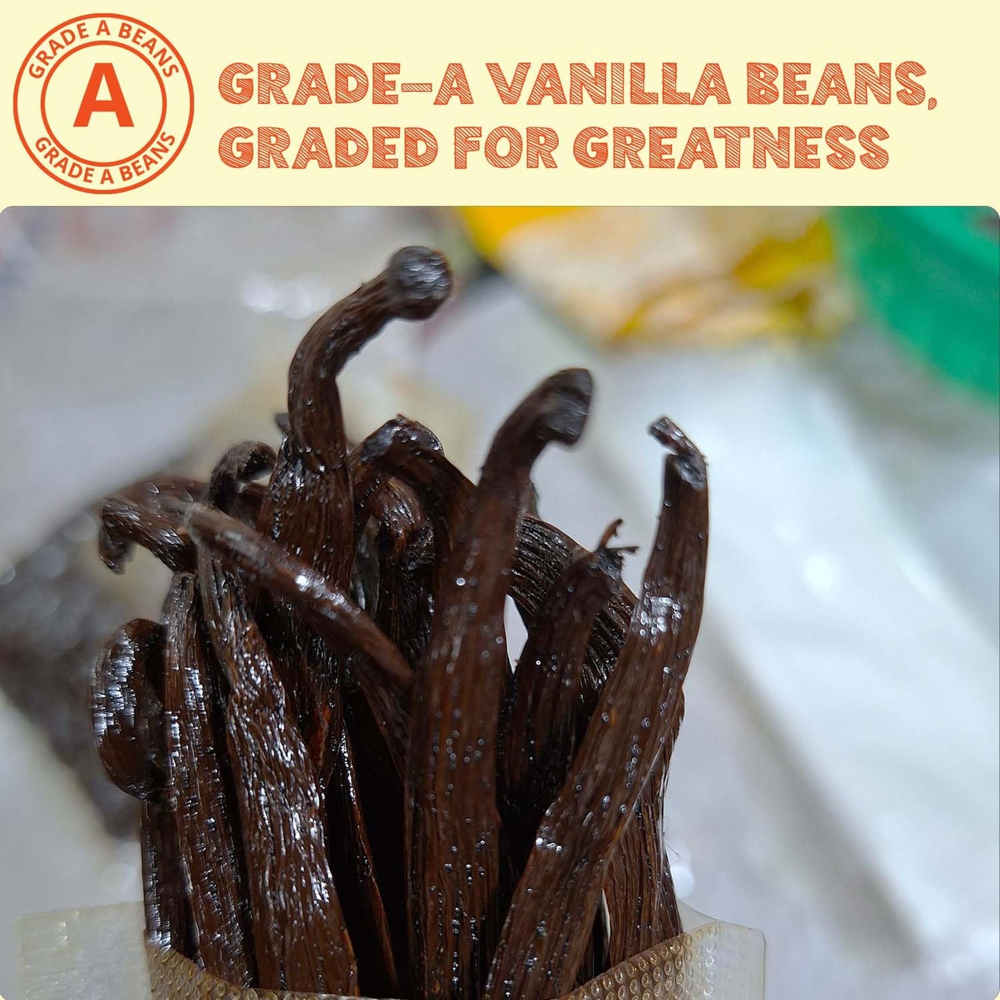 1 LB Bulk Vanilla Beans Grade A + | Vanilla Bean Pods For Making Extract | Non-GMO | Perfect For Baking, Cooking, & Desserts | 6-8 Inches. NYVanilla.