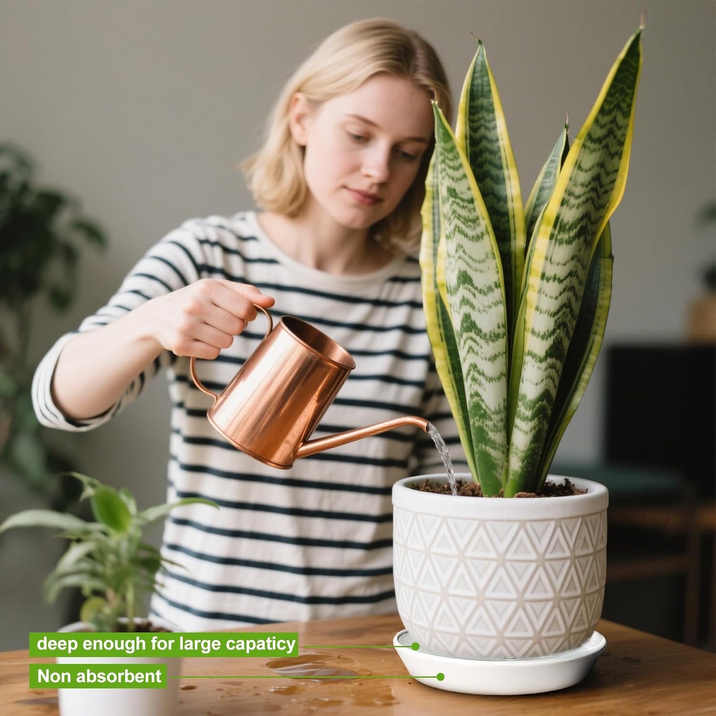 Plant Saucer Tray of 2 Pack 6 Inch, 7 inch (6.7 Inch) Plant Saucer Tray, Heavy Duty Glazed Ceramic Plant Saucers for Indoors & Outdoor, Flower Plant Water Trays for Pots Planter