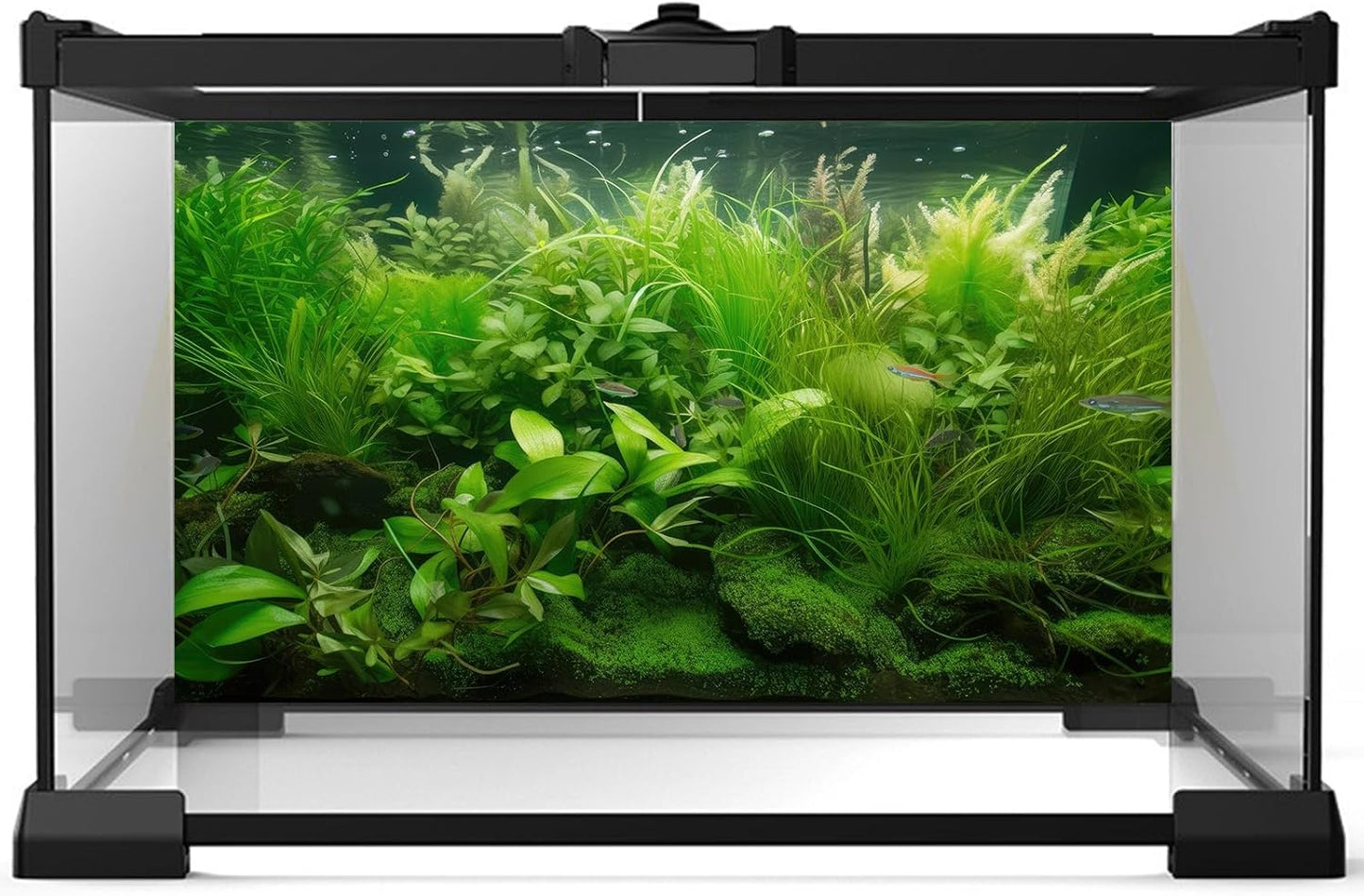 Aquarium Background Diverse Collection of Aquatic Plants Seagrasses Terrarium Background Redwood Root Moss Tropical Style Underwater Lush Green Plants Fish Tank Background Wallpaper Poster 72x18in
