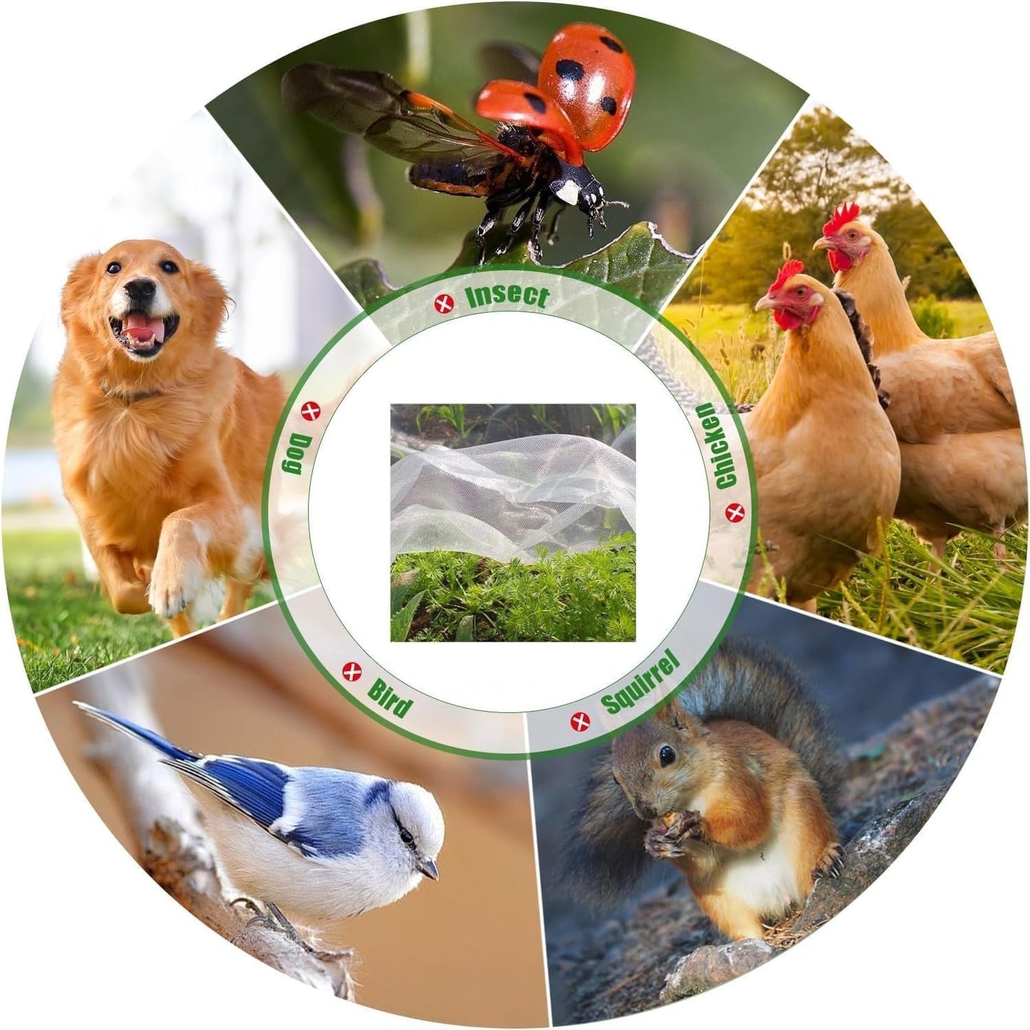 Garden Insect Mesh Netting 10ft x 100ft, GENNIZZ Ultra Fine Plant Cover for Garden Protection, Mosquito Net Pest Barrier for Fruit Vegetable Flower Greenhouse Row Cover Raised Bed Barrier (3m x 30m)