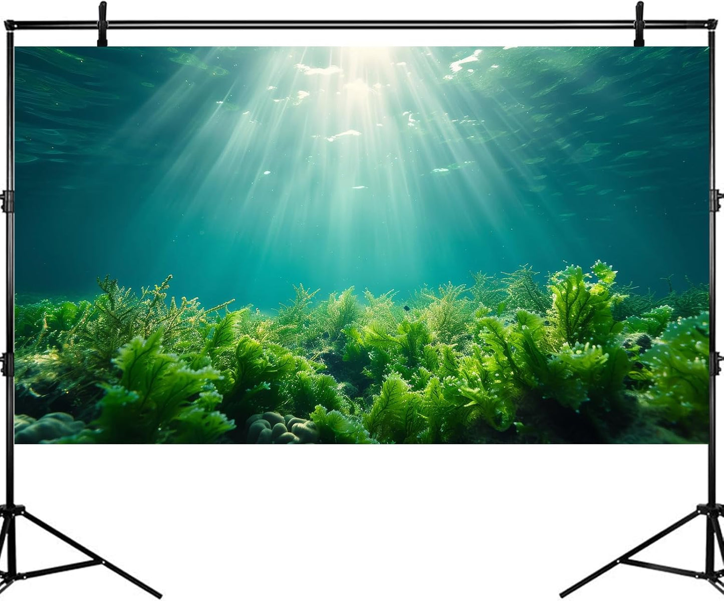 Deep Ocean Fish Tank Background Under The Sea Aquatic Plants Aquarium Background Underwater Corals Sunray Terrarium Backgrounds Tropical Fish Ocean World Aquarium Backgrounds Decorations 30x18in