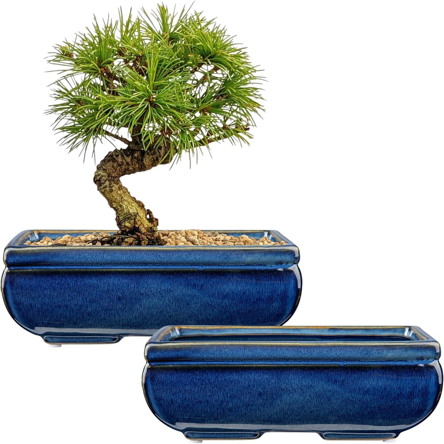 Succulent Planters Bonsai Pots for Live Bonsaii Trees Set of 2, 8.7" Large Ceramic Shallow Pot for Succulents Indoor with Drainage Hole, Outdoor Cactus Plant Bonsai Pots, Ceramic Flower Pot