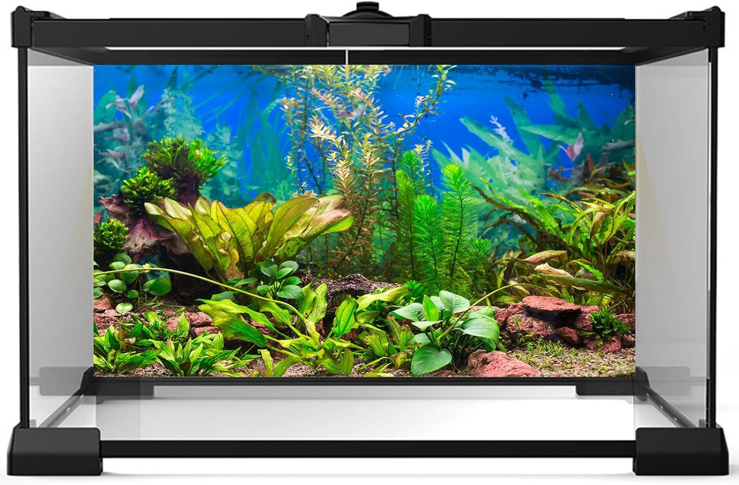 Aquarium Background Various Underwater Grass Plants Aquarium Backdrop Vivid and Fresh Green Aquatic Plants Stone River Bed and Dead Wood Purple Stone Fish Tank Background 48x20in