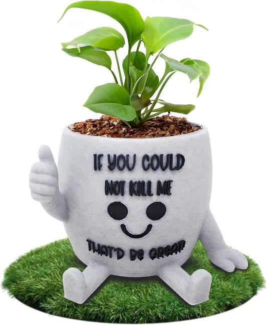 Funny Face Indoor Head Planter Pot, 3D Printed, Unique Small Succulent Flower Pot, Cute Cactus Planter, Indoor Home Decor, Office Desk Plant Pot, Novelty Gardening Gift Set