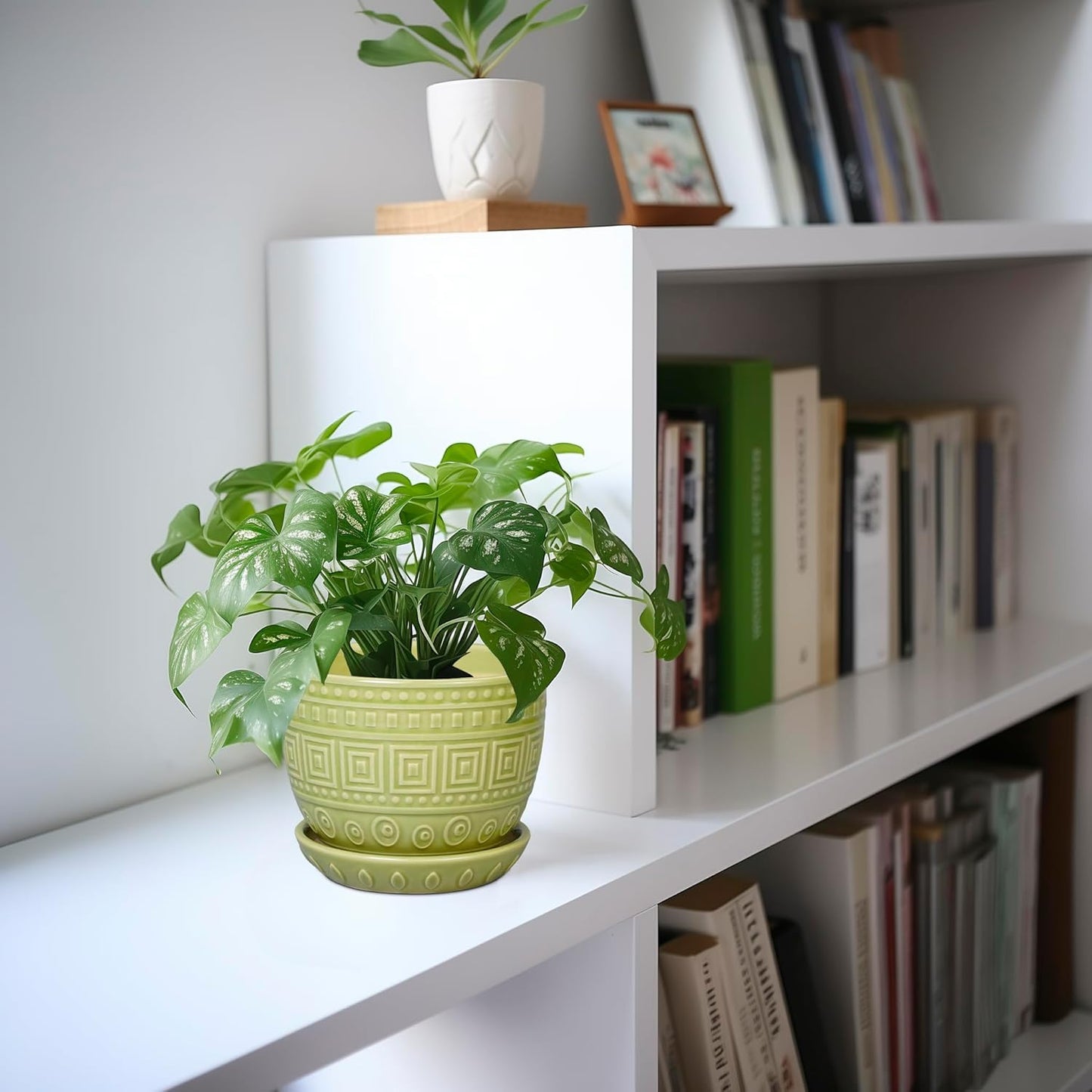 G EPGardening Ceramic Pots for Plants - 5.5 Inch Round Ceramic Planter for Indoor, Boho Succulent Pot with Drainage Hole and Plant Saucer, Gift for Plant Lover, Garden Home Desk Decor, Green