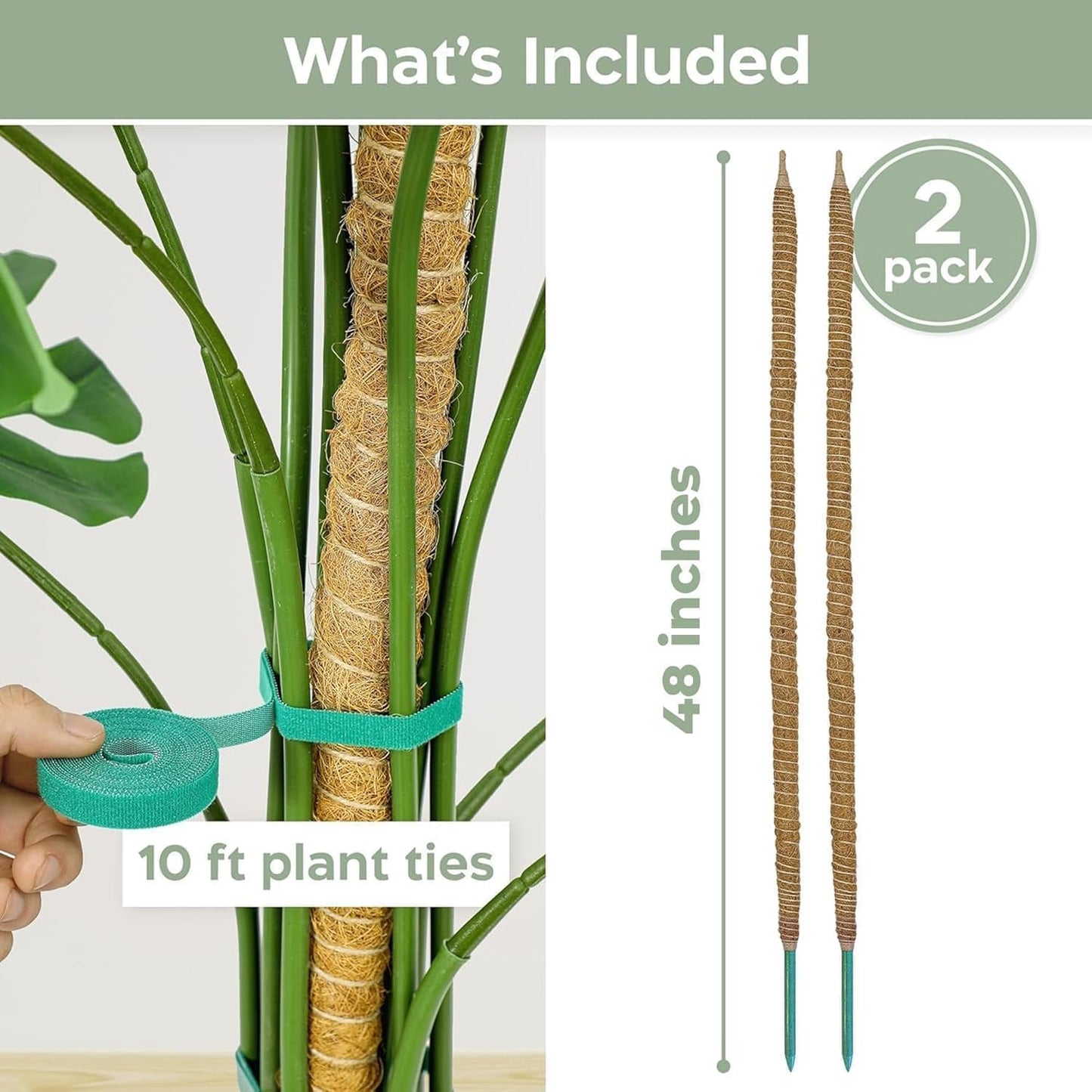 2 Pack 48'' Bendable Moss Pole Monstera Plant Support for Climbing Indoor Plants - Stakes for Potted Climbers - Tall Sticks Indoor Trellis for Houseplants - Accessories for Monstera Pot
