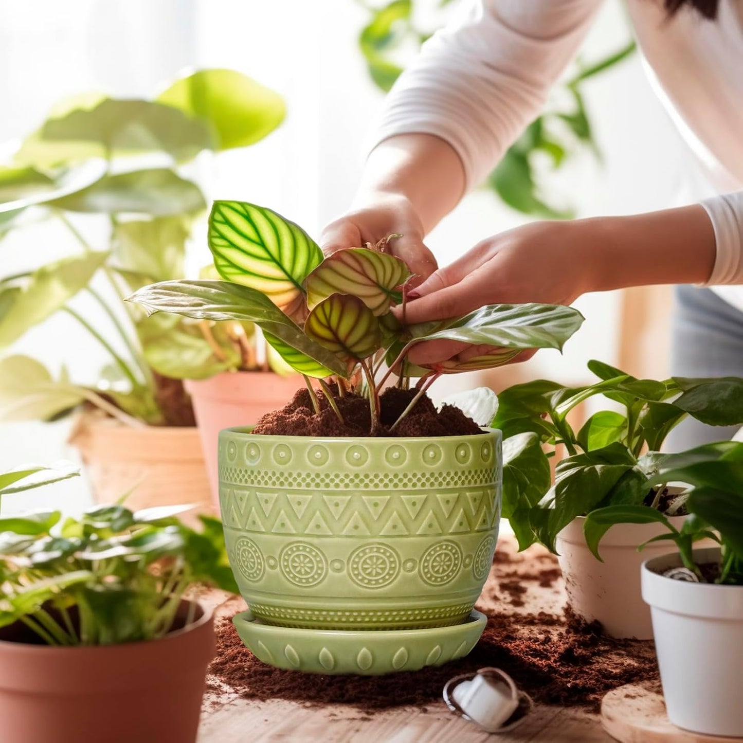 G EPGardening Indoor Plant Pot 5.5 Inch - Ceramic Planter with Drainage Hole and Saucer, Round Boho Plant Pot for Indoor Plants, Plant Lover Gifts, Home Garden Office Decor, Green