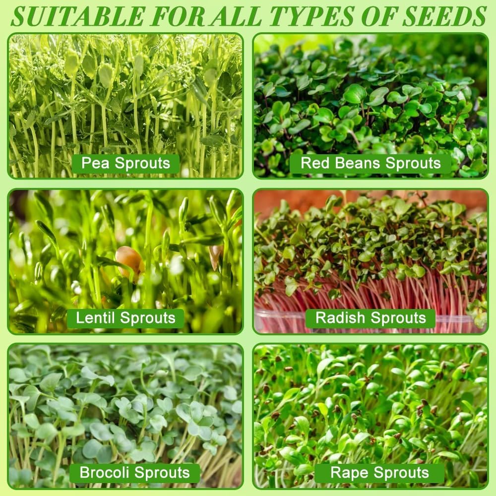 Picowe Stainless Steel Sprouting Trays Seed Sprouting Kit with Stainless Steel Mesh Tray Seed Starter Tray Seed Sprouting Kit (2pack, 10.4 x 7.7inch)