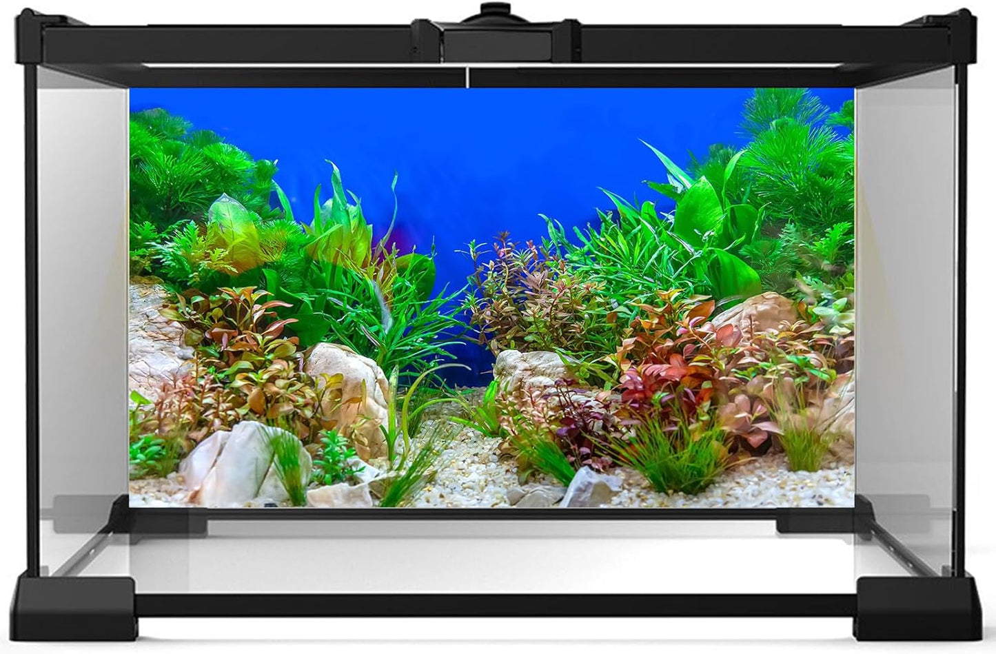 Aquarium Background Green Aquatic Plant Stone River Bed Fish Tank Background Underwater Grass Leaves Pebbles Terrarium Background Perfect Fish Tank Wallpaper Poster Decors 30x12in