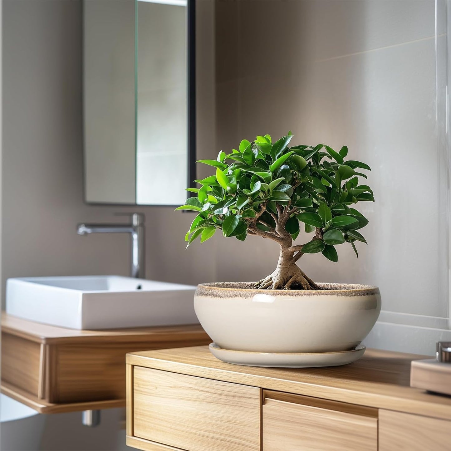 SQOWL Bonsai Tree Pots - 10 Inch Ceramic Succulent Pots, Round Shallow Planter with Drainage Hole and Tray, Bowl Planter for Indoor Outdoor Plants Flowers, Room Decor, Garden Gifts, Beige