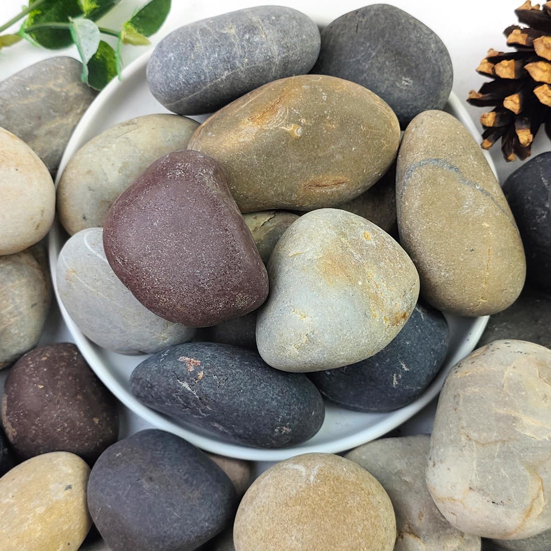 40lbs Natural River Rocks, 2-3" Premium Pebbles for Garden and Landscape Design, Hand-Picked Smooth Stones for Fish Tank, Flower Pots, Indoor Water Fountains, Pathways, Backyard