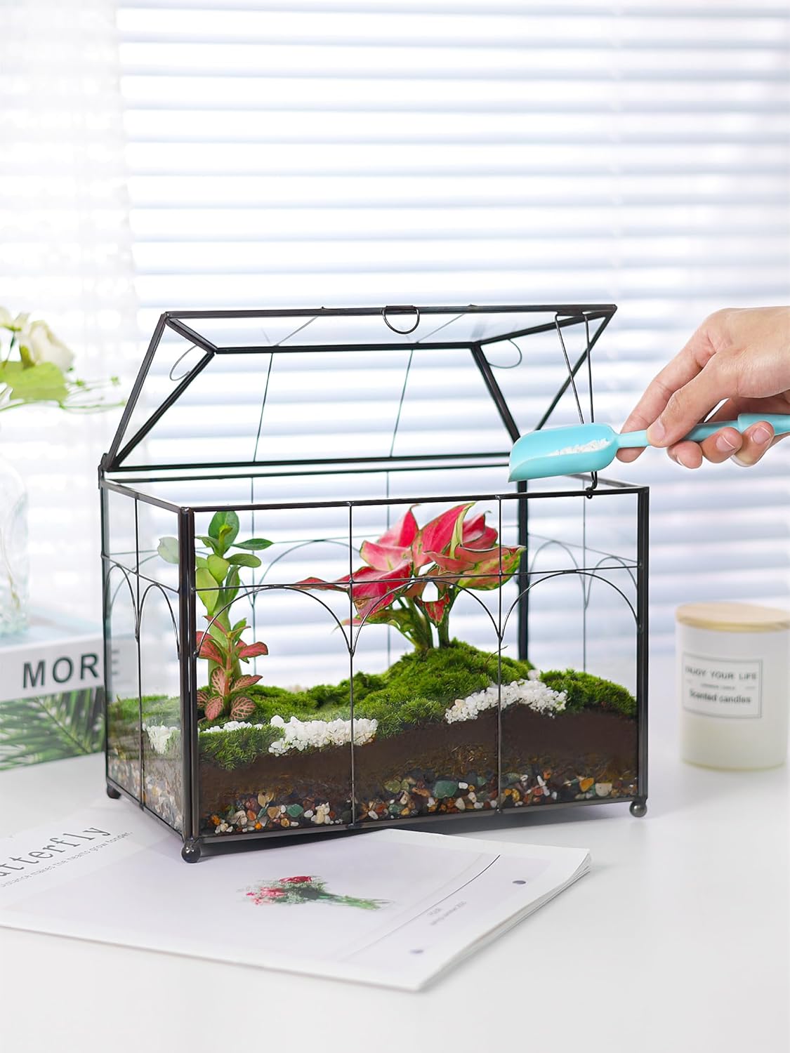 Handmade Glass Planter Terrarium with Lid, Indoor Tabletop Centerpiece Display Box Modern Decor DIY Gift Plant Terrarium Container for Succulent Cacti Air Plants Flower (Black)