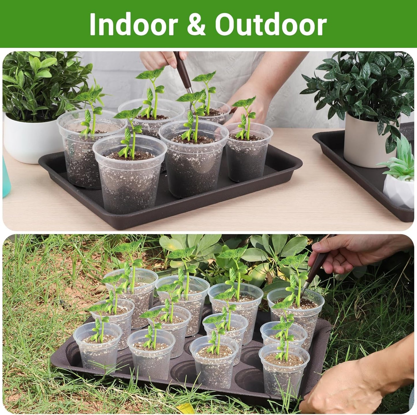 GREANER 8 Inch Humidity Tray, Black 6 PCS Plant Pot Drainage Tray, Indoor Plant Trays for Pots, Drip Trays for Potted Plants, Plastic Plant Trays for Pots, Seed Starter Growing Tray