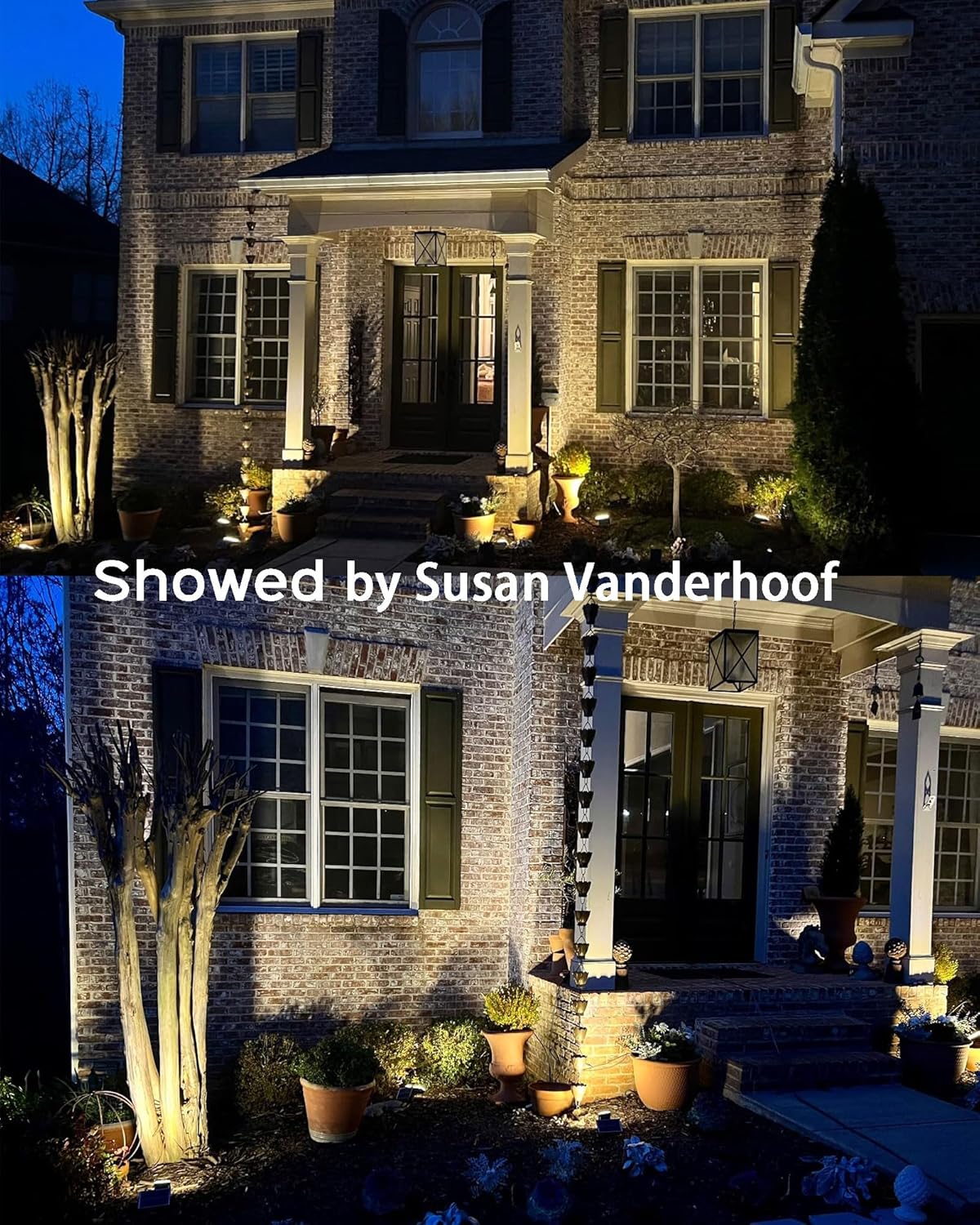 JACKYLED Solar Spot Lights Outdoor, 84 LEDs Solar Lights for Outside with 5 Modes Auto On/Off, IP65 Waterproof Landscape Spotlights for Yard Garden Decorative, Walkway, Driveway, 1 Pack