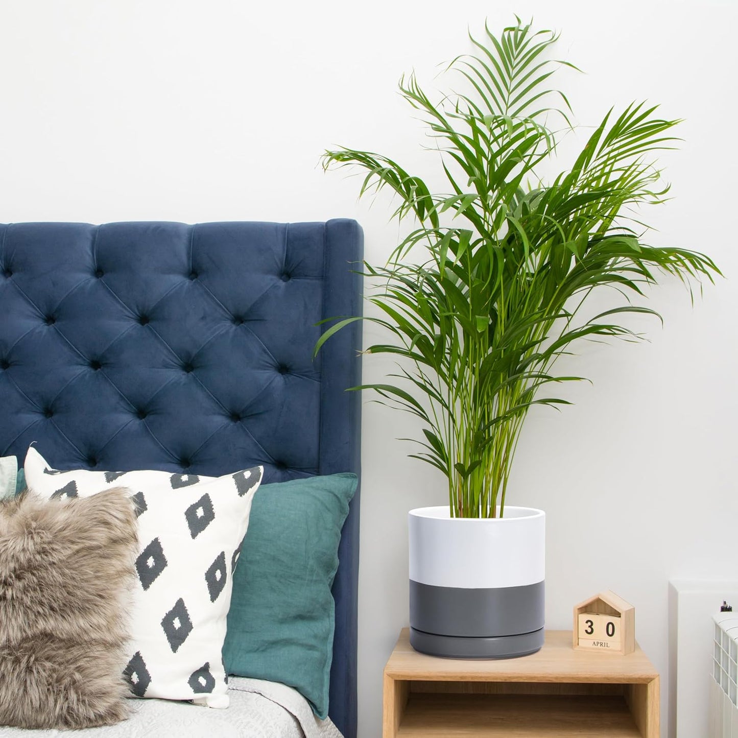 D'vine Dev 6 Inch & 8 Inch & 10 Inch, Set of 3 Round Ceramic Planter Pot with Drainage Hole and Saucer, White/Speckled Grey, 94-T-L-6