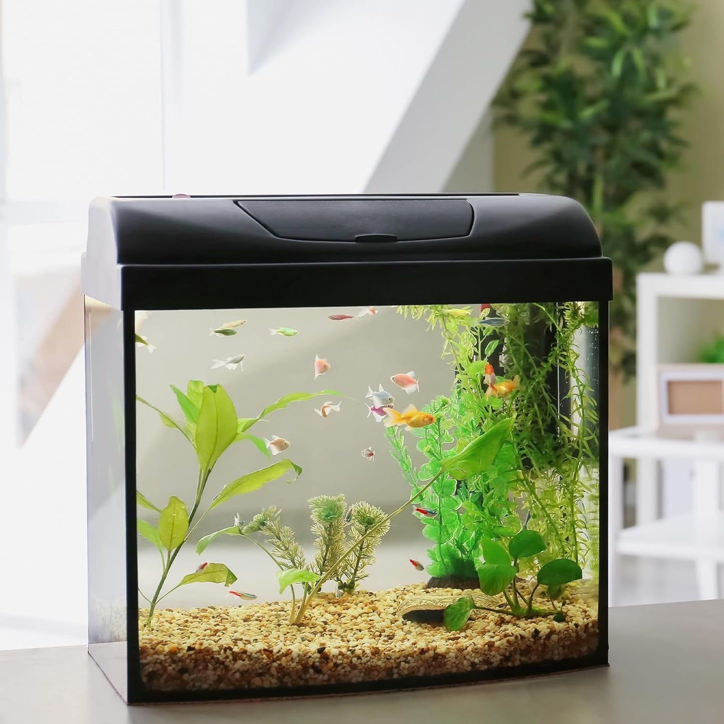 Aquarium Gravel 20 lbs, 3-6mm Fish Tank Gravel, Succulent Cactus Pea Gravel for Indoor Plants, River Rocks for Gardening, Flower Pots, Vase Fillers, Garden Landscaping