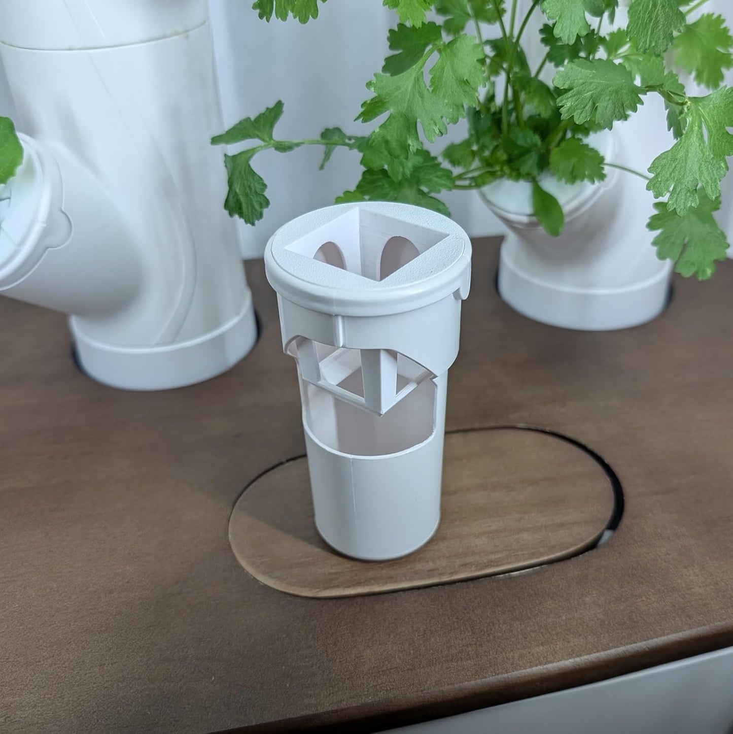 Grow Cubes for Hydroponic System/Compatible with Gardyn (10 Grow Cubes)