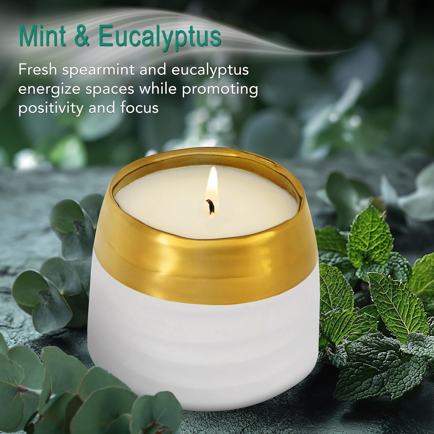 The Growing Candle, Mint & Eucalyptus Scented, 10oz Ceramic Pot, Aromatherapy Candles, 100% Soy, Clara
