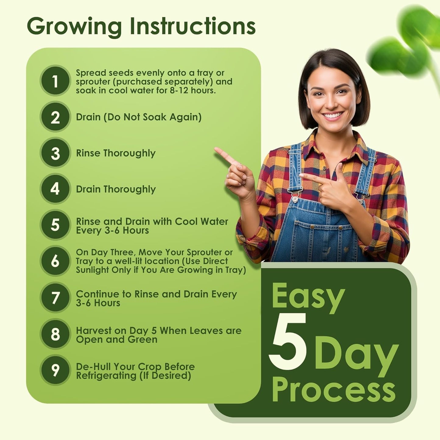 Nature Jims Sprouts Organic Salad Mix – Non-GMO Microgreen Seeds for Growing – Healthy Broccoli, Alfalfa, Radish & Clover Sprouting Variety Blend – Microgreens & Sprouts Seeds for Home Gardening – 1lb