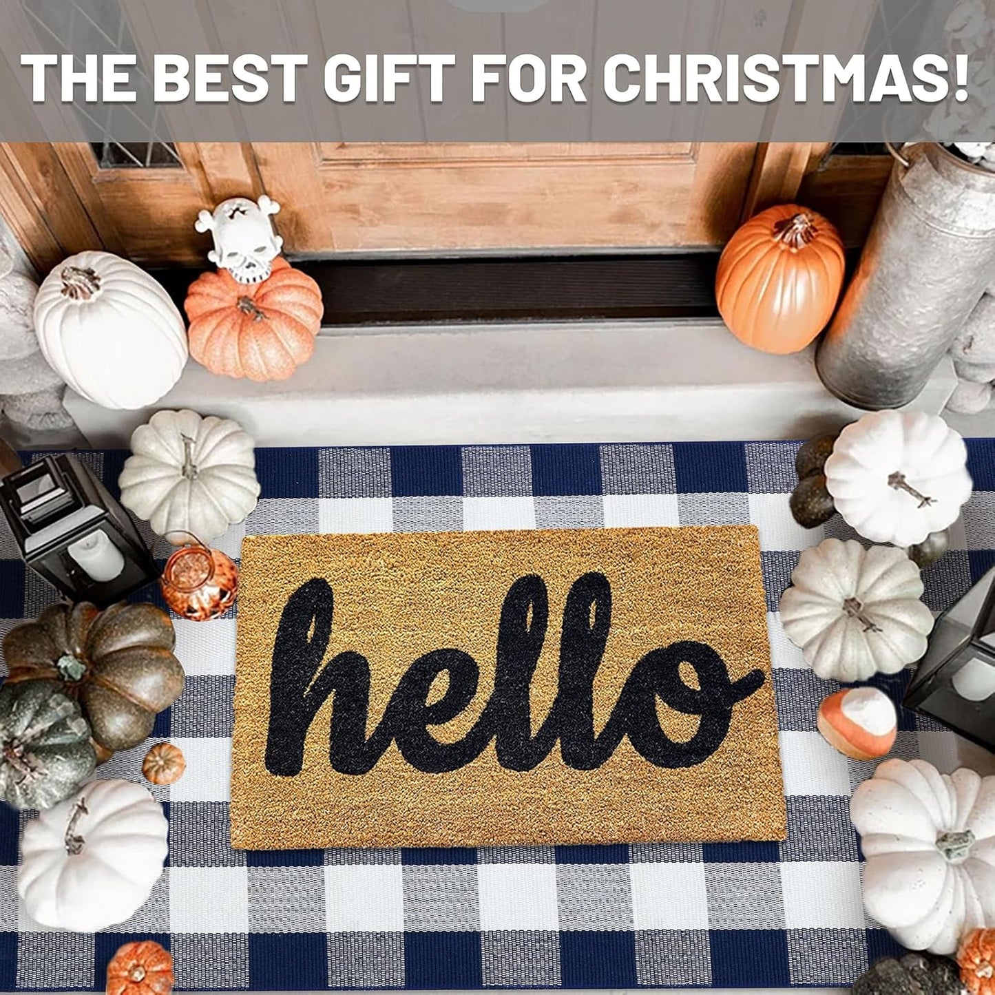 IOHOUZE Buffalo Plaid Checkered Rug 3x5 Ft Front Door Mats, Washable Area Rugs for Front Porch Decor, Spring Summer Welcome Mats Outdoor, Navy White Rug for Farmhouse/Entryway/Home Entrance