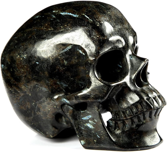 Skullis 5.0" Russian Arfvedsonite Hand Carved Crystal Skull, Super Realistic, Crystal Healing, Hand Carved Gemstone Fine Art Sculpture, Reiki Healing Stone Statue. z8