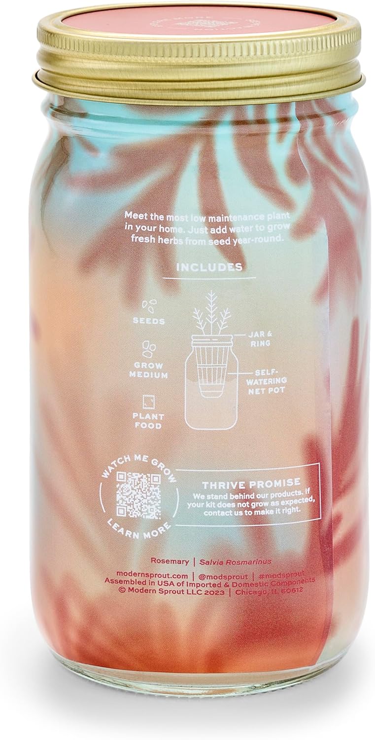 Modern Sprout Mason Garden Jar - Self-Watering Hydroponics Growing System Kit with Organic Herb Seeds - Jar Planter for Indoor Herb Garden - Seed Starter Kit - Home Decor & Gifting - Rosemary
