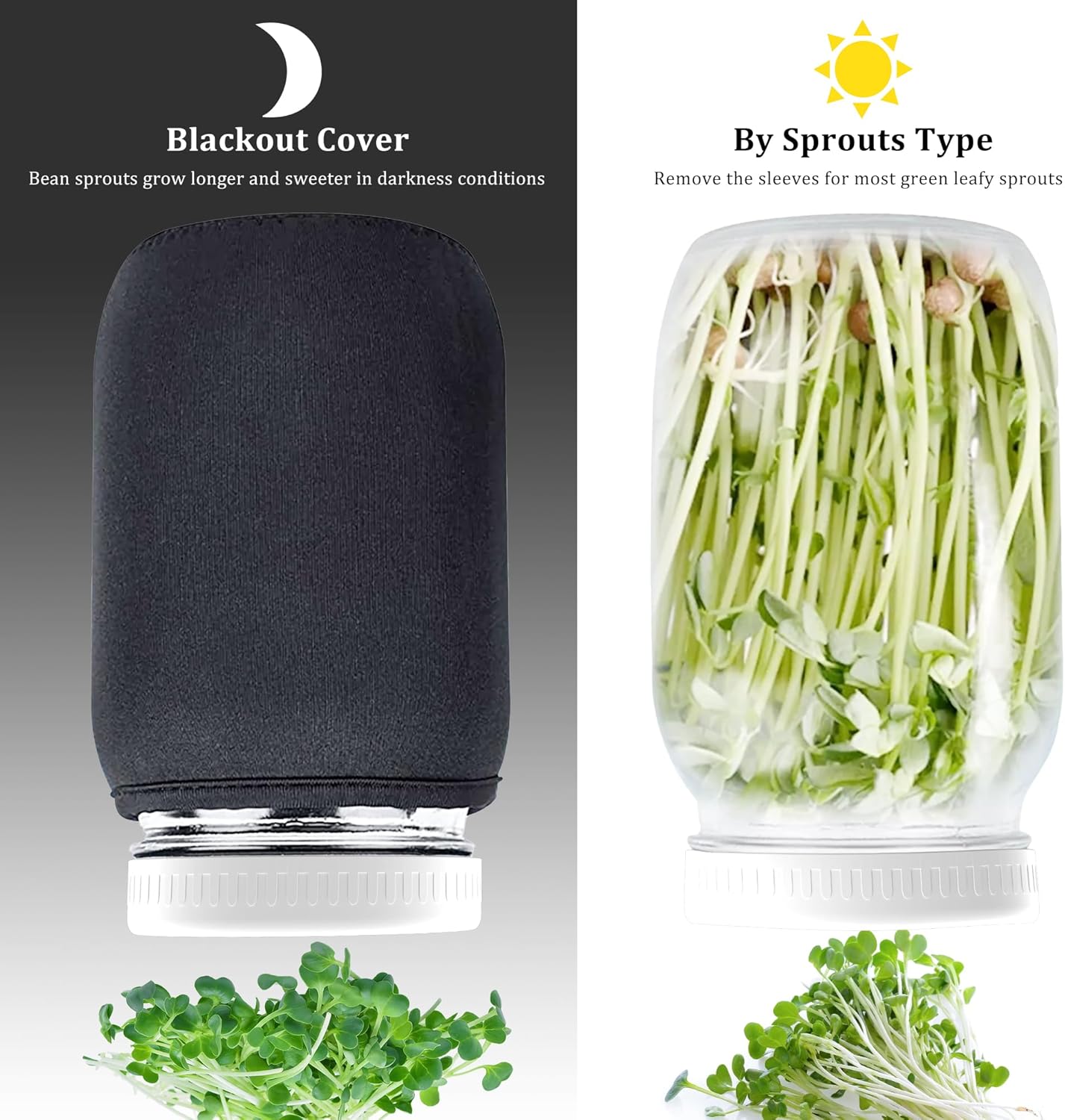 Organic Seed Sprouting Jar Kit – 2 × 32 oz Wide-Mouth Mason Jars with Stainless-Steel Sprouter Lids & Stand, Blackout Sleeves, Drain Tray – Grow Broccoli, Alfalfa & Bean Microgreens