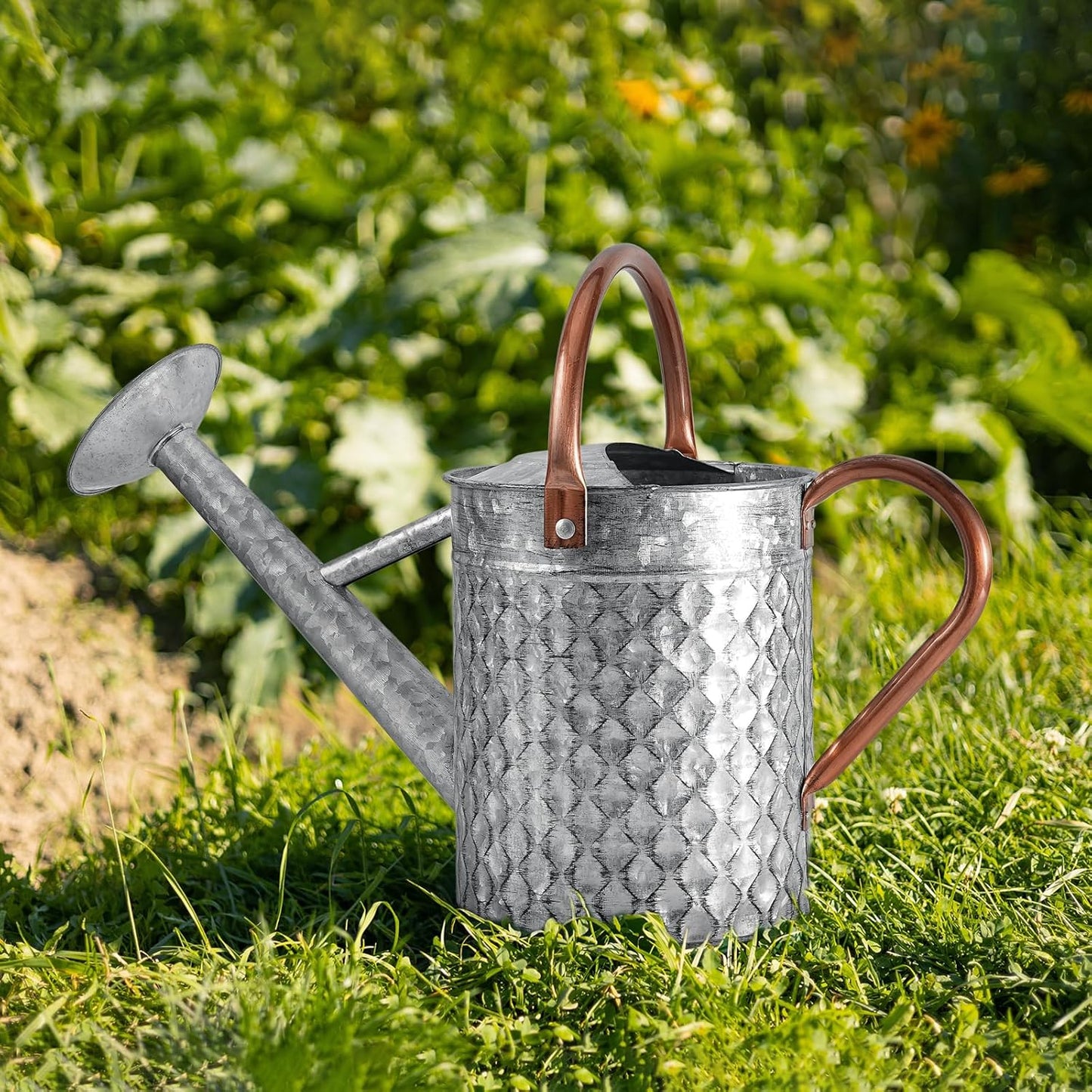 1 Gallon Metal Watering Can for Outdoor Indoor Plants, Galvanized Watering Can with Removable Spray Spout, Ideal for Garden Watering