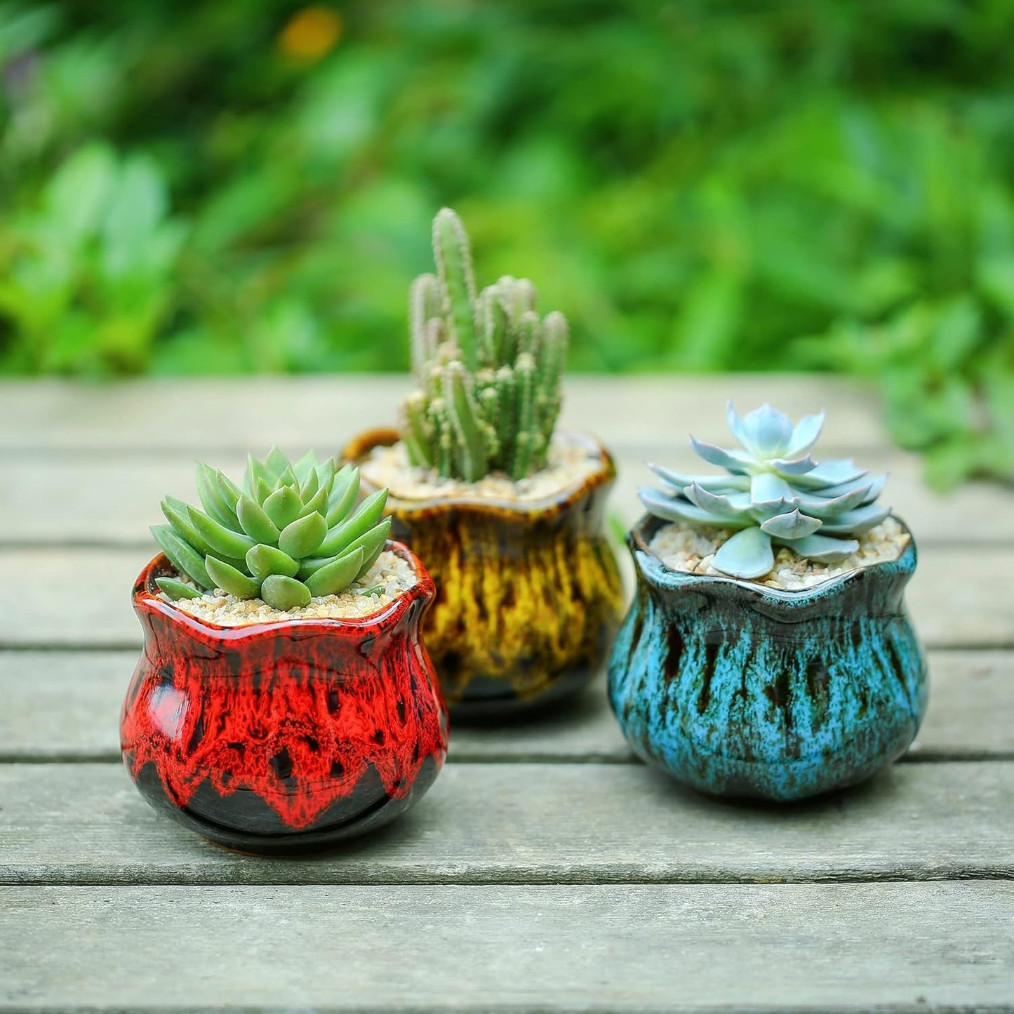 Cute Ceramic Succulent Planters, Garden Pots with Drainage and Attached Saucer, Set of 6 - Plants Not Included