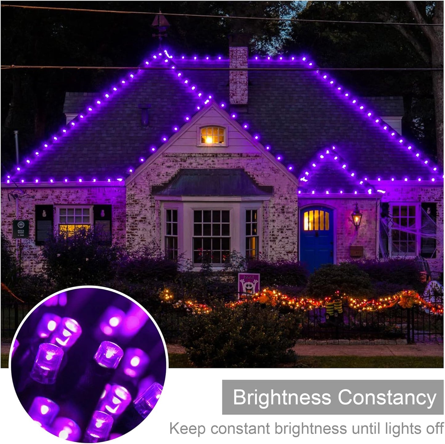 weillsnow 164FT 500 LED Purple Christmas Lights, 8 Modes Waterproof Plug in String Lights for Halloween Christmas Indoor Outdoor Yard Party Wedding Garden Home Decorations (Purple, 164FT)