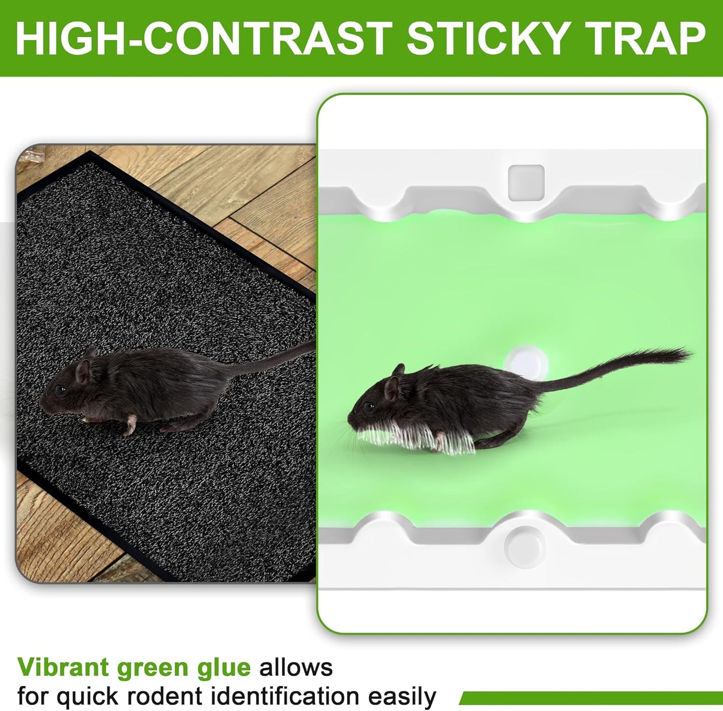 Qualirey 6 Pack Mouse Glue Trap, Super Sticky Traps Mouse Size for Mice and Rats, Pre-Scented, Non Toxic Mice Glue Boards, Rodent Sticky Pads Indoor for Home, Easy to Use, Pet Safe Pest Control