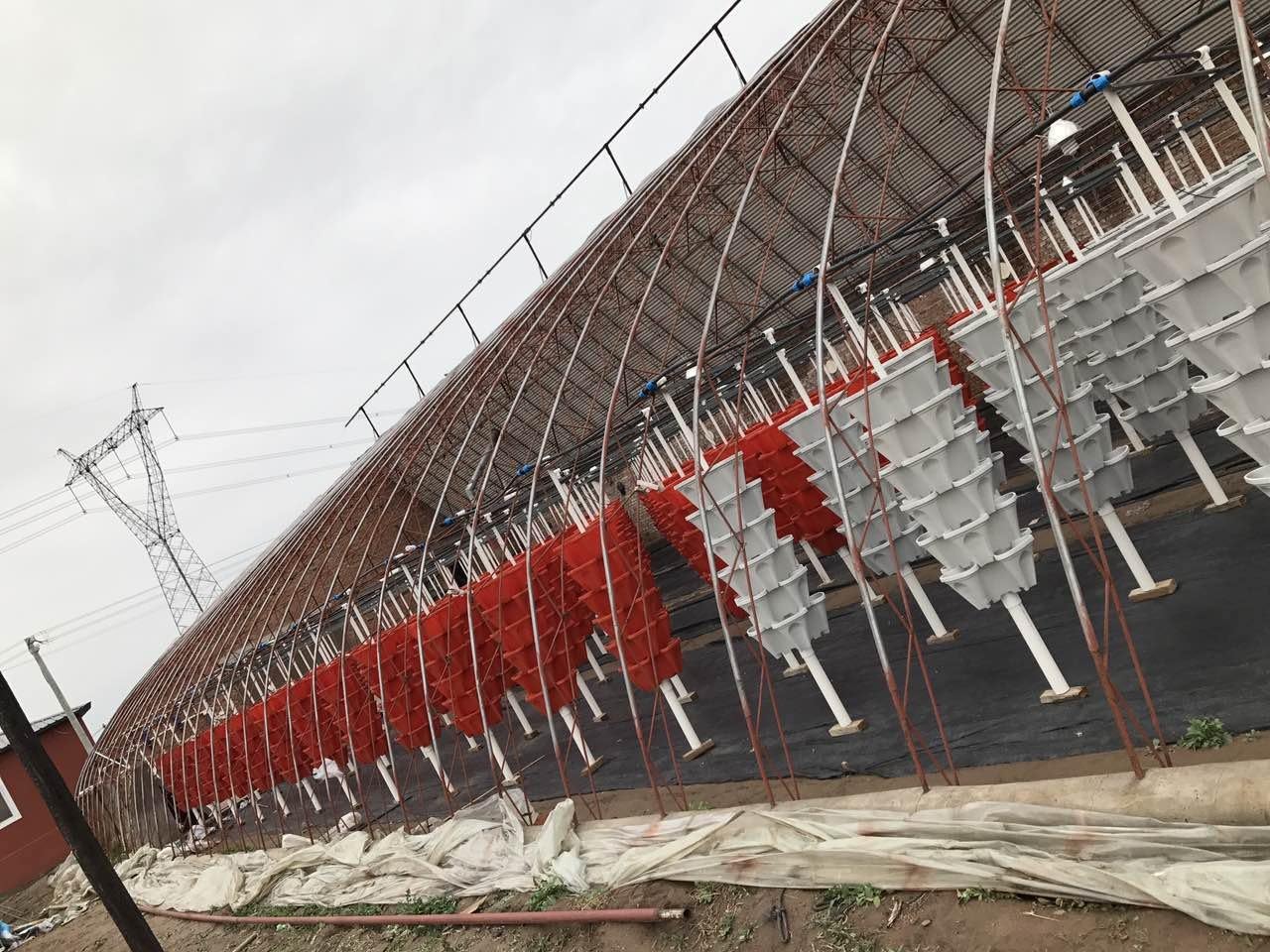 Mr. Stacky© 5-Tier 13 inch Wide - (Stone Color) Strawberry and Herb Garden Planter - Stackable Gardening Pots with 10 Inch Saucer