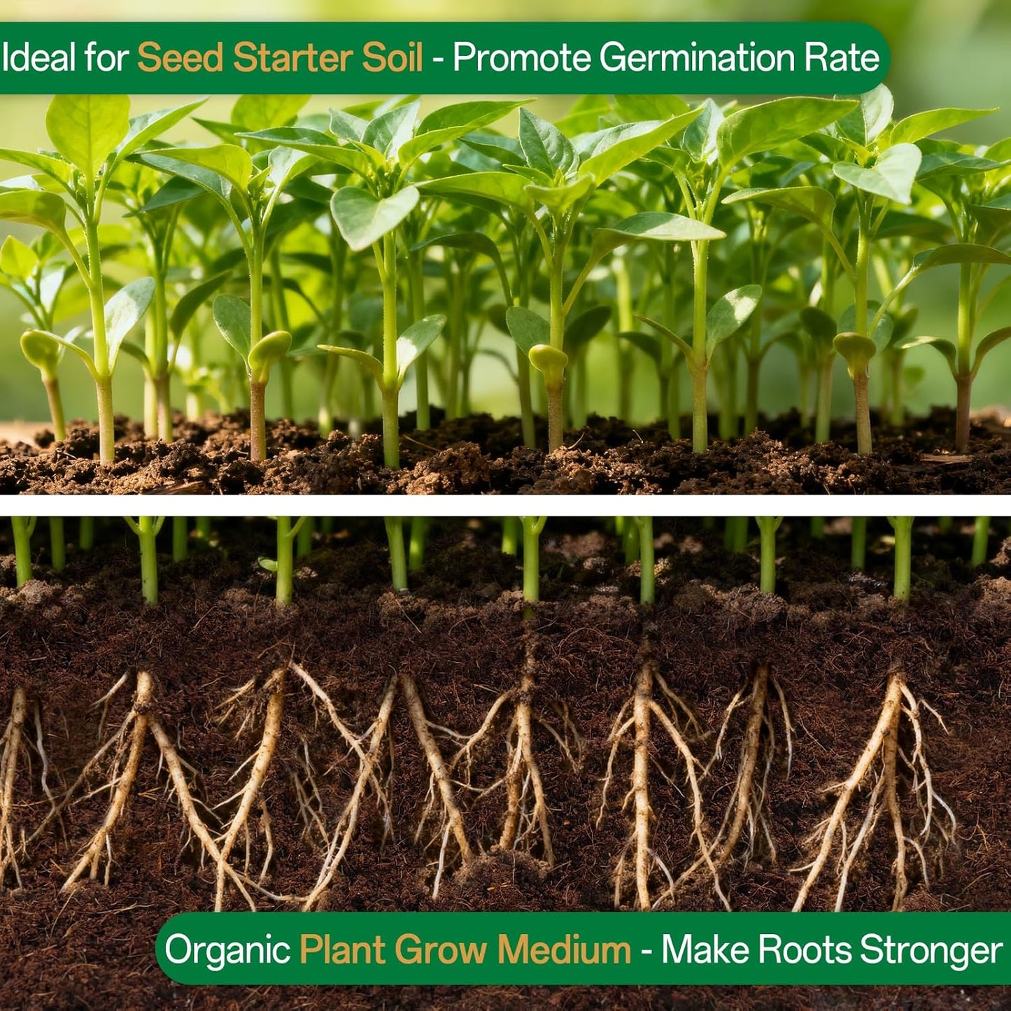 ZeeDix 8 Pack Coco Coir Brick (11.2lbs), 100% Organic Coconut Coir for Garden Soil & Potting Mix, Low EC and pH Balance, Compressed Coconut Husk Fiber for Seed Starter Soil for Indoor Outdoor Plants