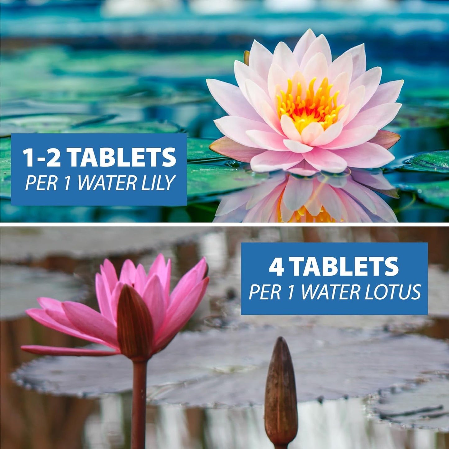 CrystalClear Thrive Aquatic Pond Plant Food, Fish Safe Water Garden Fertilizer, Nutrients Boost Lily & Lotus Flower Bloom & Root Growth, 60 Tablets