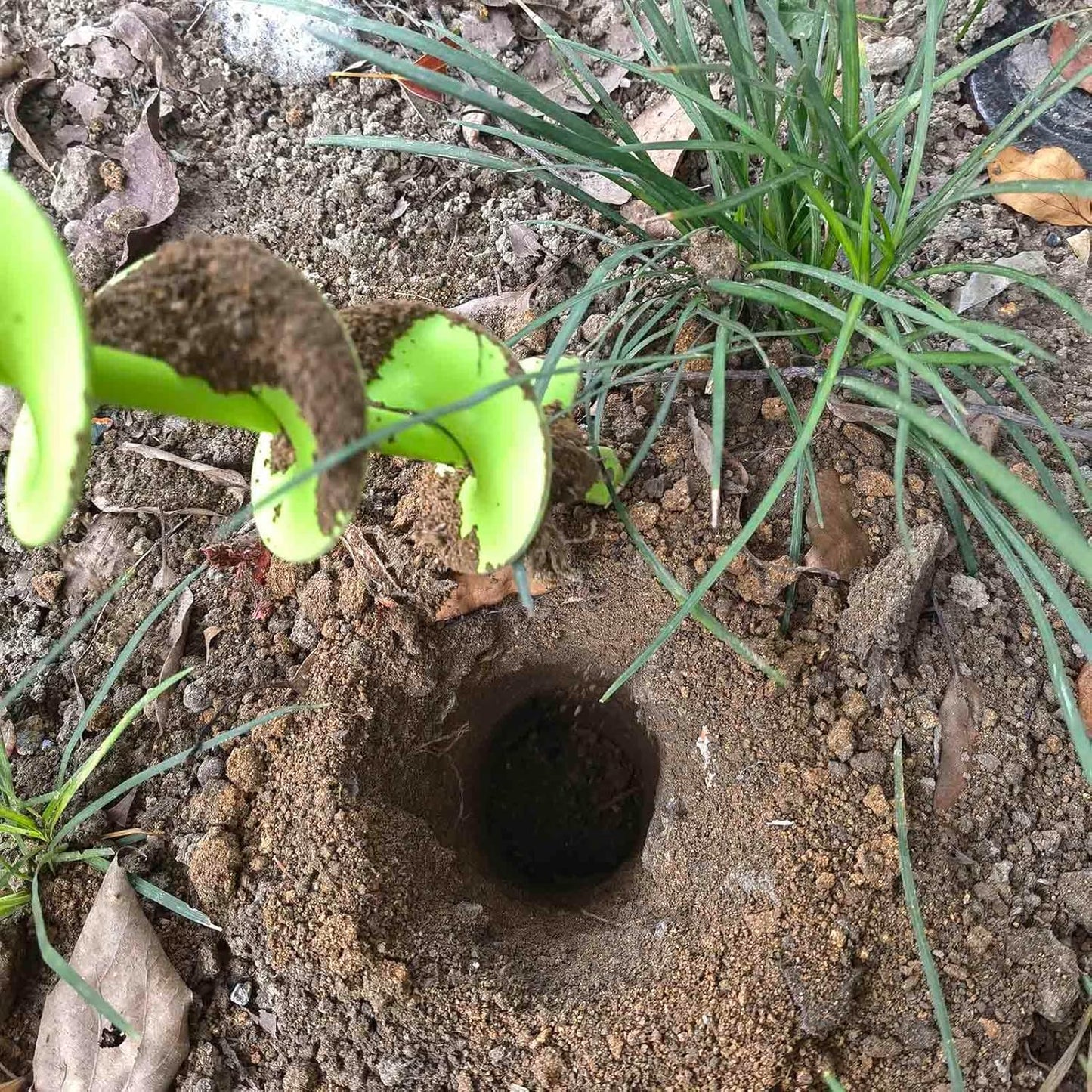 TCBWFY 2x32 Inch Auger Drill Bit for Planting - Long Handle Easy Planter Garden Auger - Bulb & Bedding Plant Augers - Post Hole Digger for 3/8”Hex Drive Drill