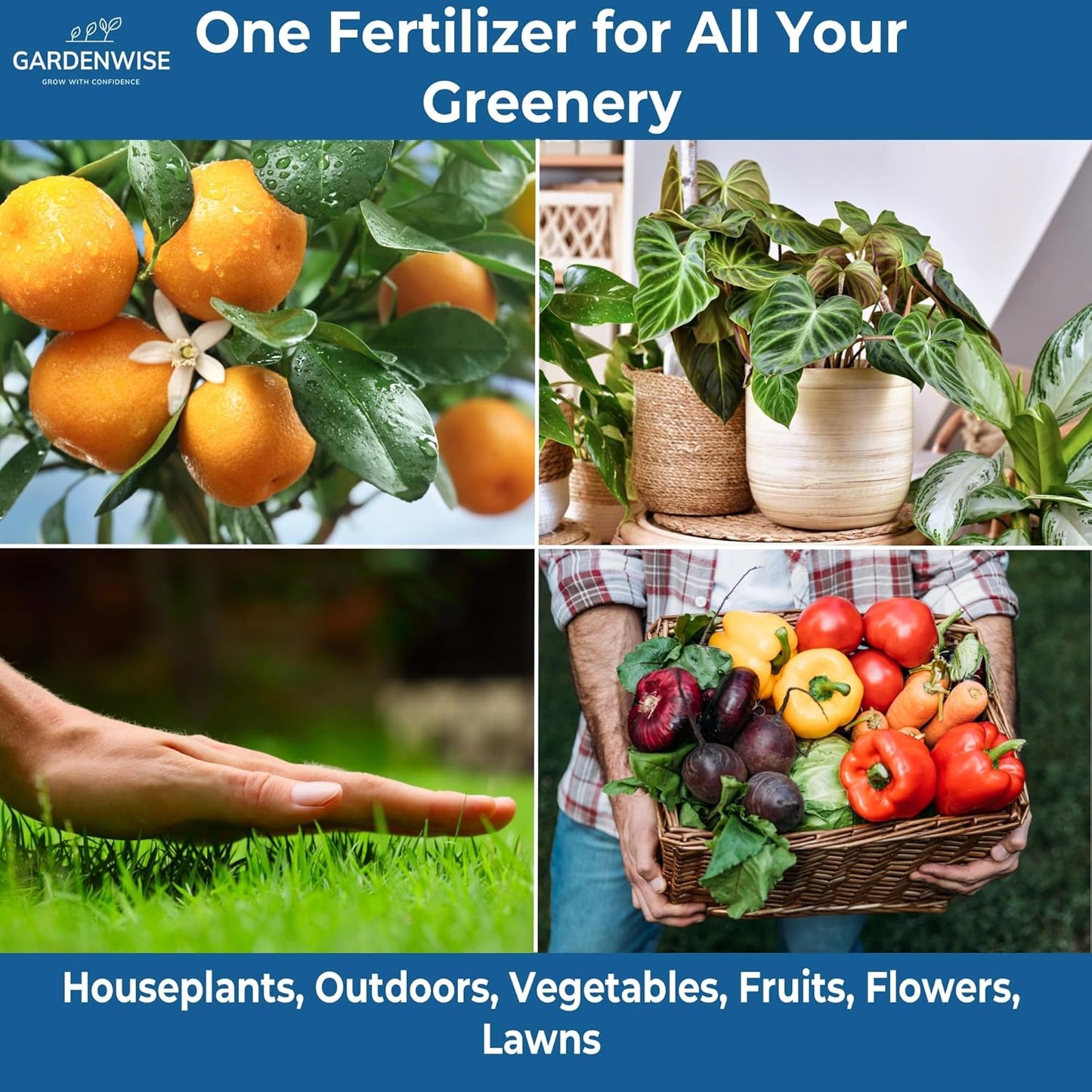 20-20-20 Water-Soluble Fertilizer – Powder for Liquid Plant Food for Indoor & Outdoor Plants, Orchids, Vegetables, Lawns, Flowers – 20 20 20 Fertilizer 2 Quarts (4 lbs)