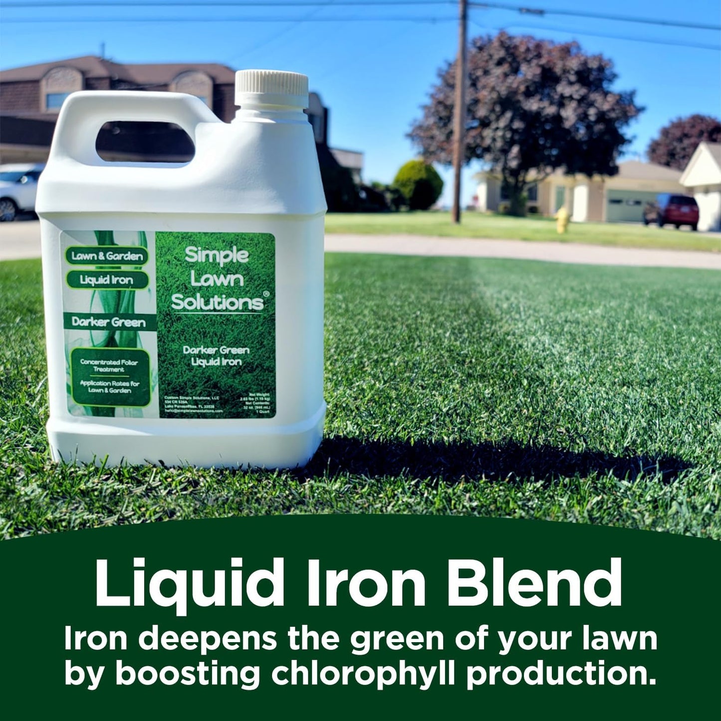 Simple Lawn Solutions - Liquid Iron Fertilizer Darker Green - Chelated Micronutrients - Concentrated Green Booster for Turf Grass, Indoor Plants and Outdoor Garden (32 Ounce)