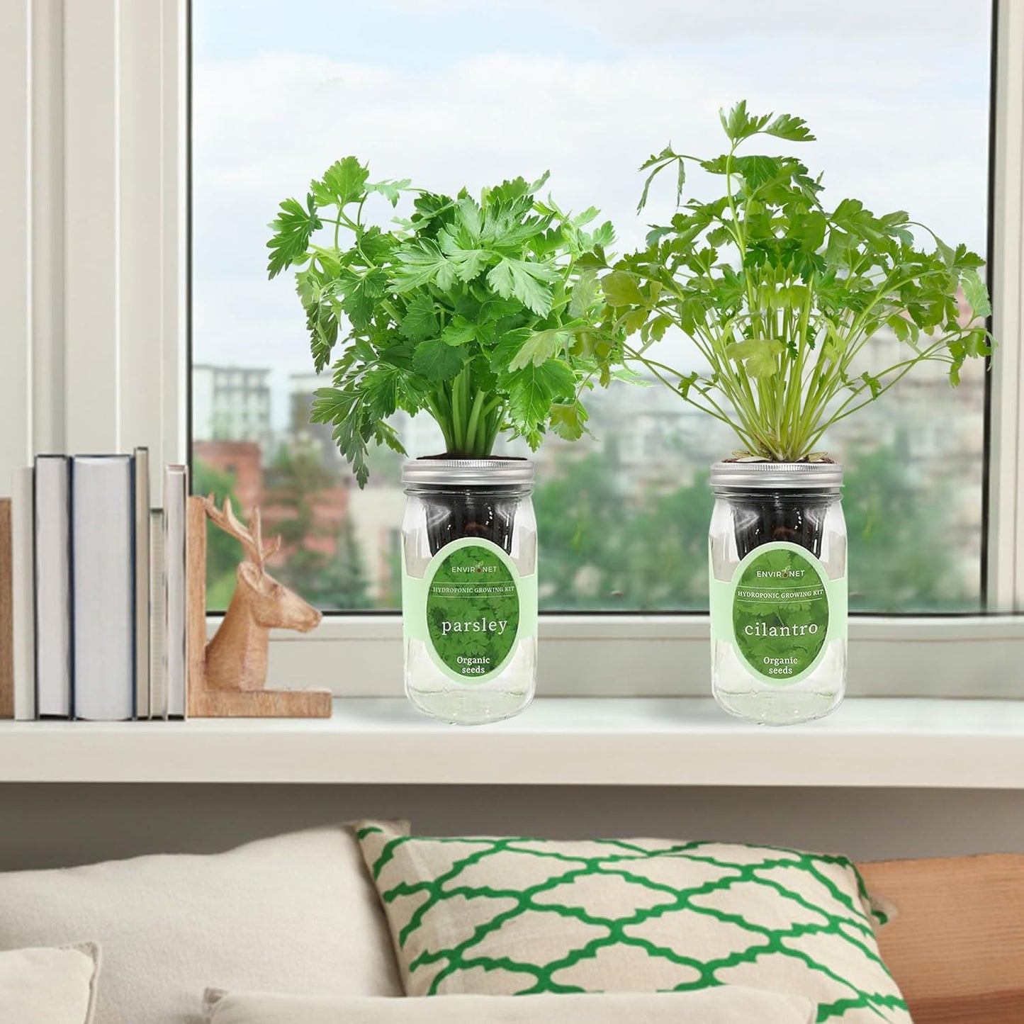 2-Pack Hydroponic Mason Jar Herb Garden Kit, Indoor Herb Garden Self-Watering Starter Kit (Parsley,Cilantro)