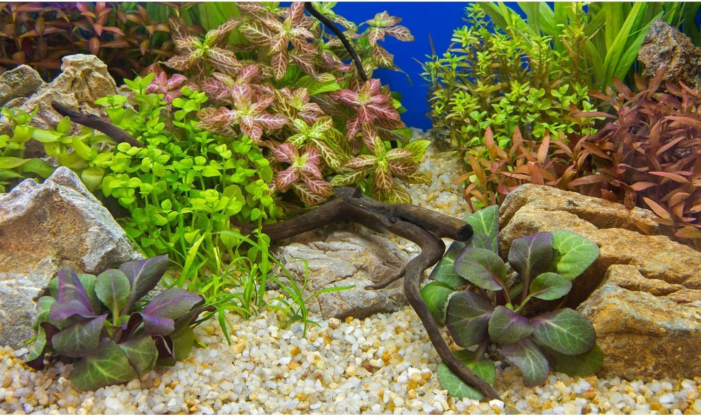 Aquarium Background Various Underwater Grass Plants Pebble Aquarium Backdrop Vivid and Fresh Green Aquatic Plants Stone River Bed and Dead Wood Purple Leaves Tank Background Vinyl 72x18in